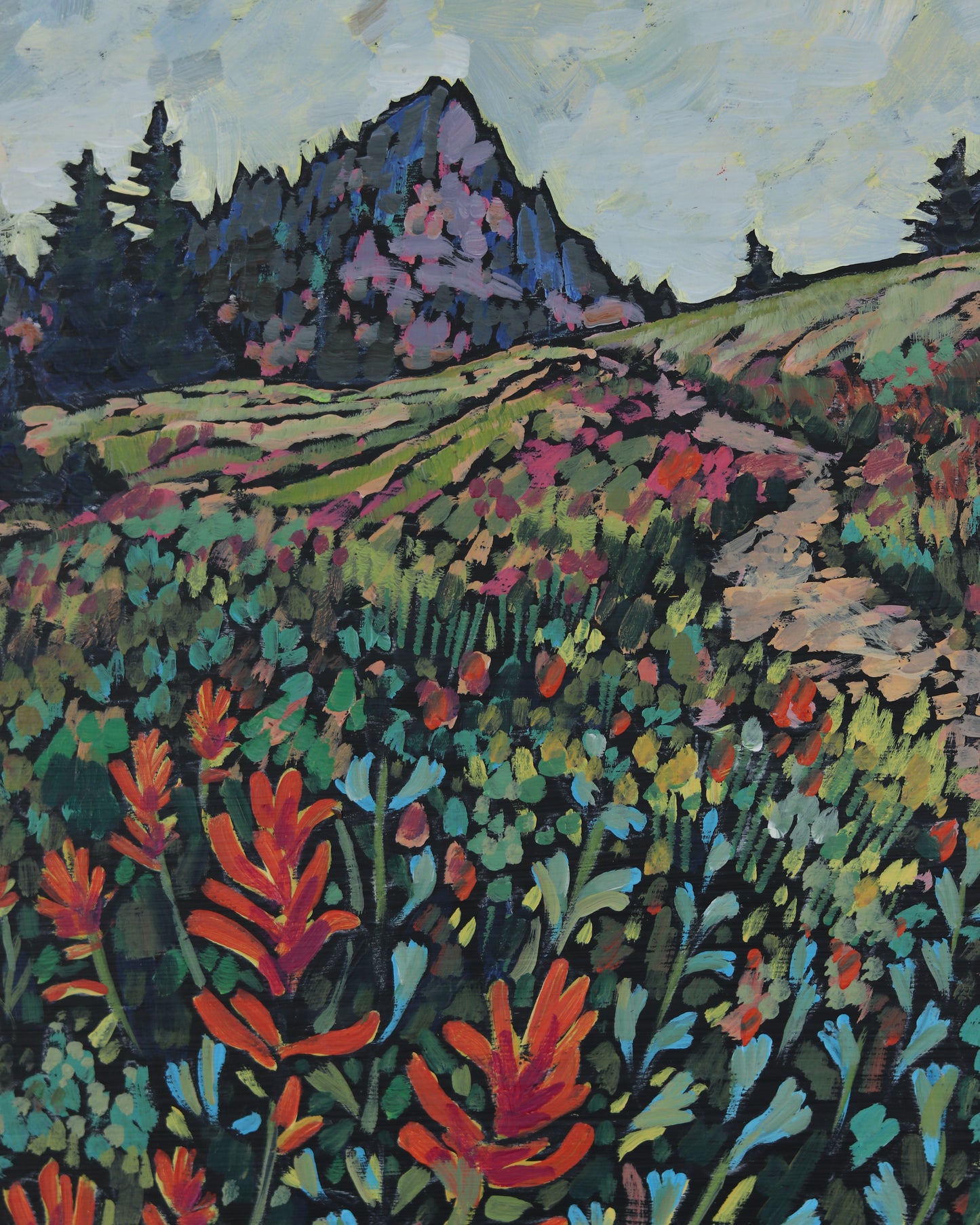 Summer Trail to Mount Magog