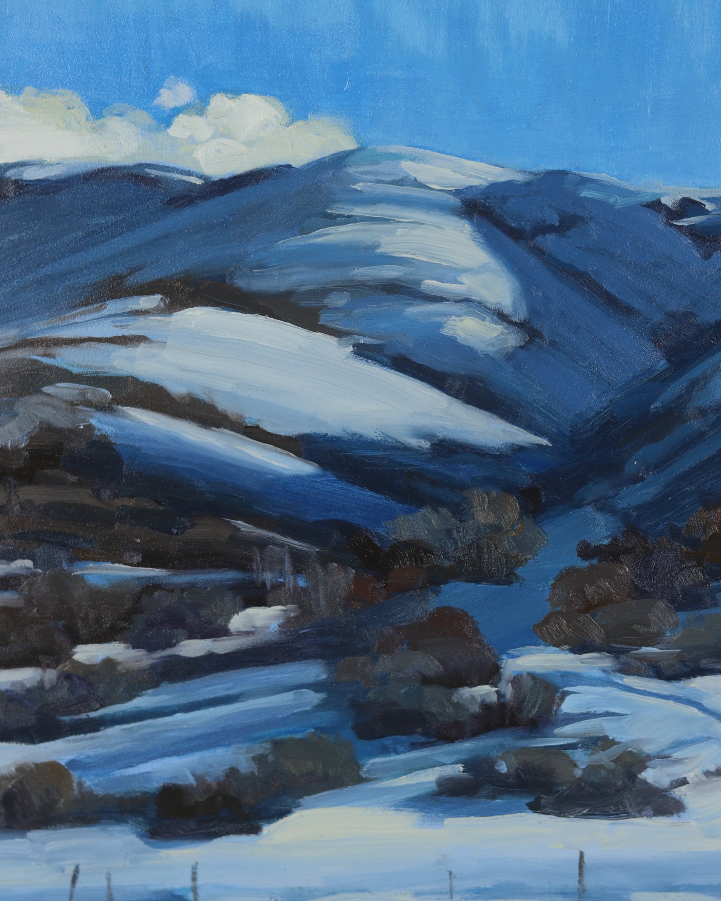 Parley's Canyon Snow