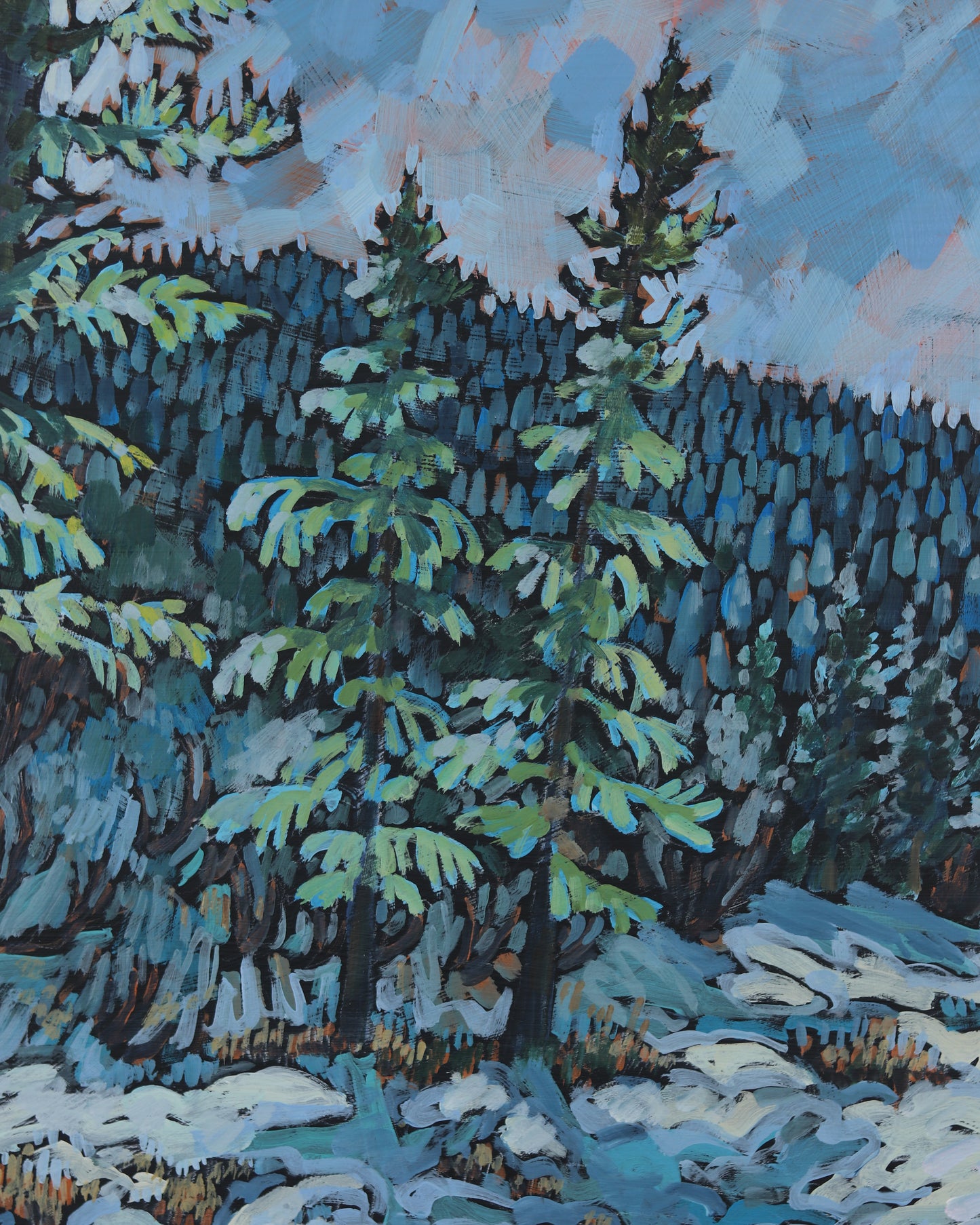 Winter in Green Canyon