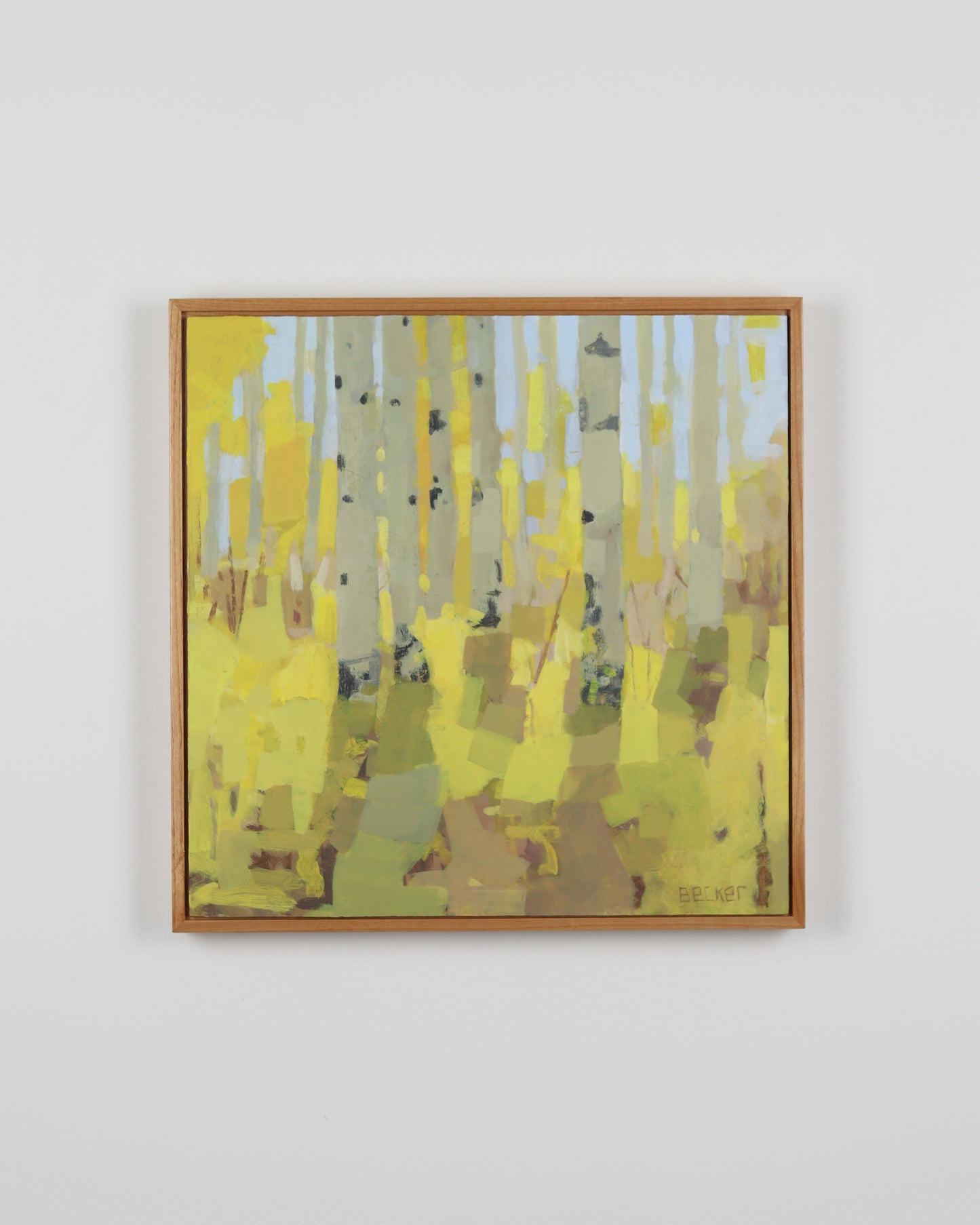 Aspens in the Fall