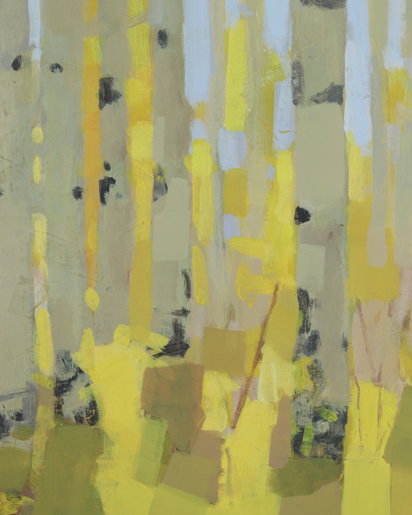 Aspens in the Fall