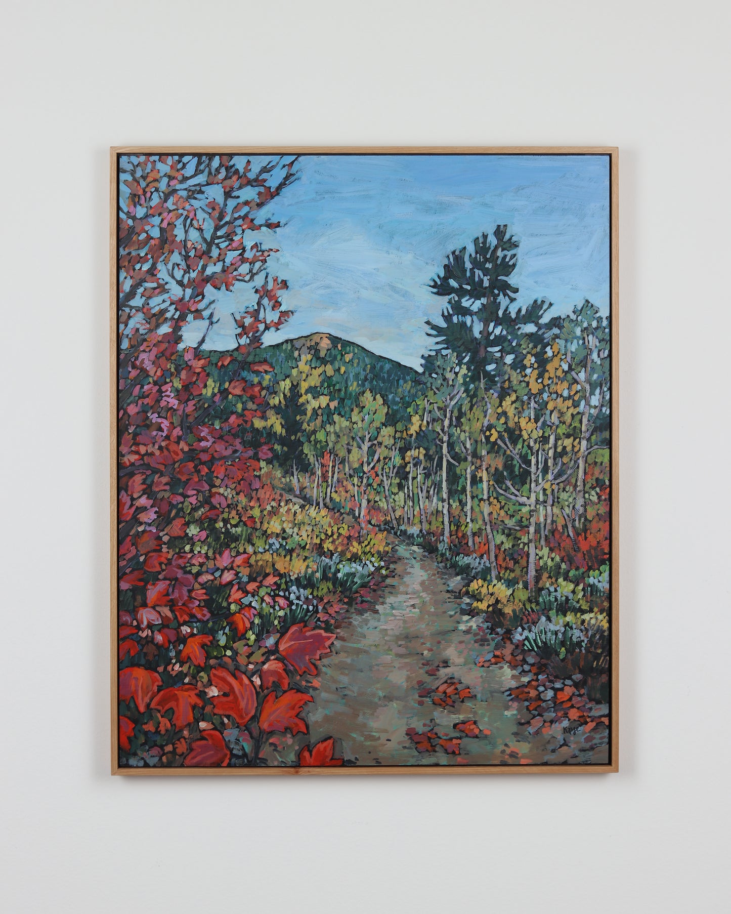 Fall Colors of Wasatch Cache