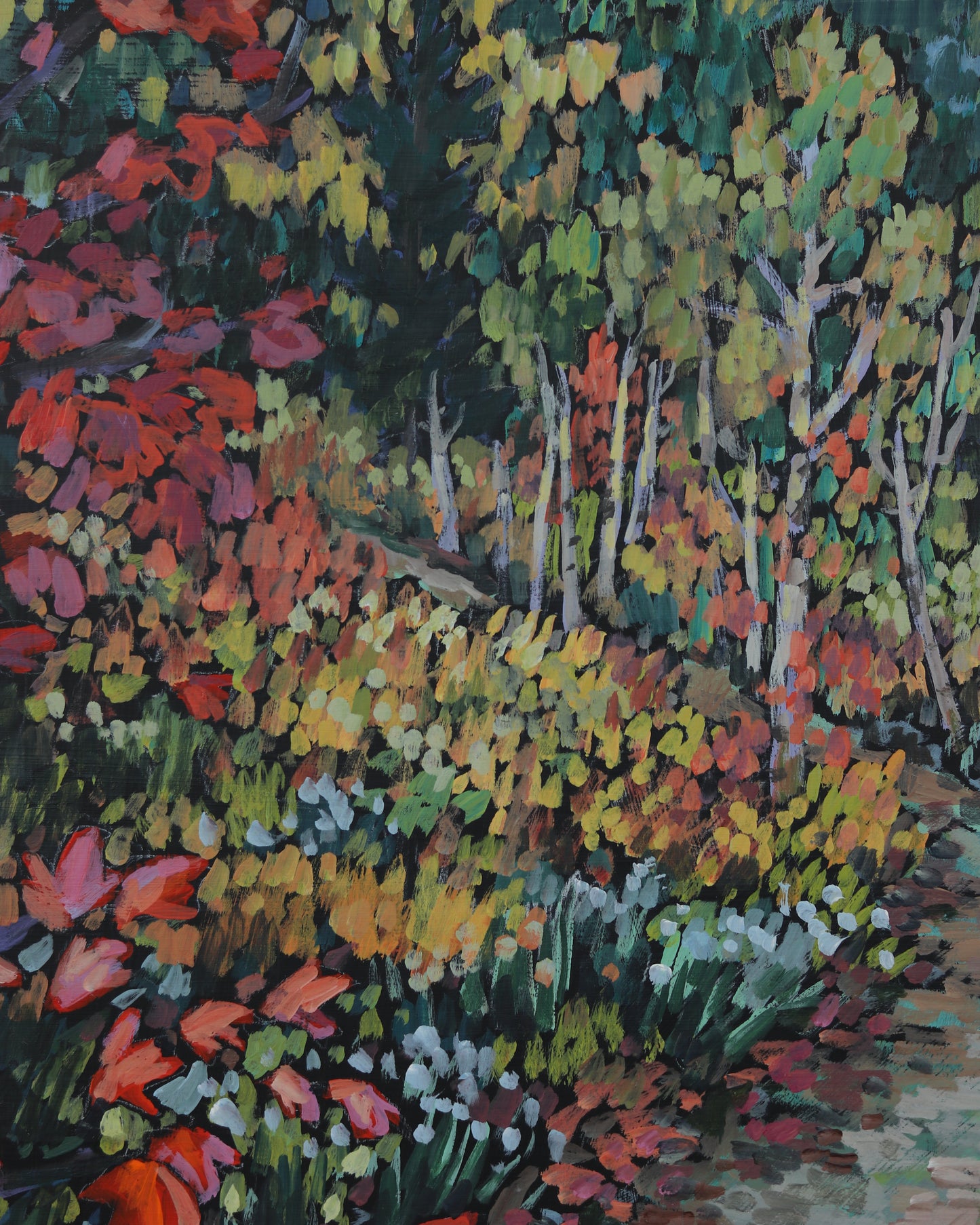 Fall Colors of Wasatch Cache