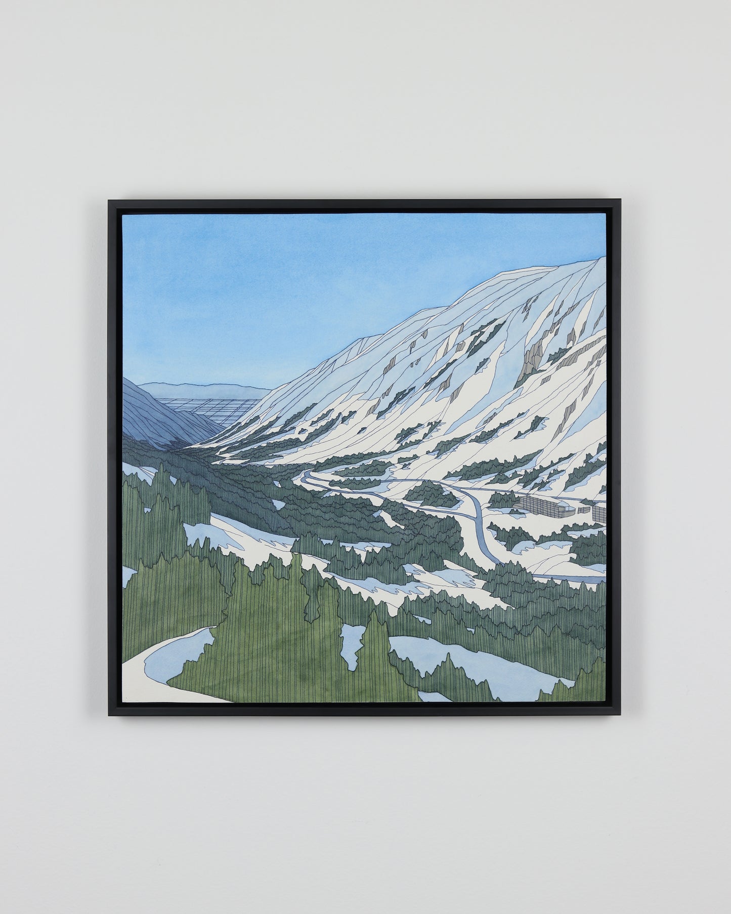Winter Snowbird