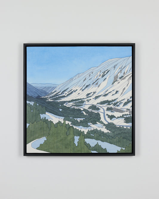 Winter Snowbird