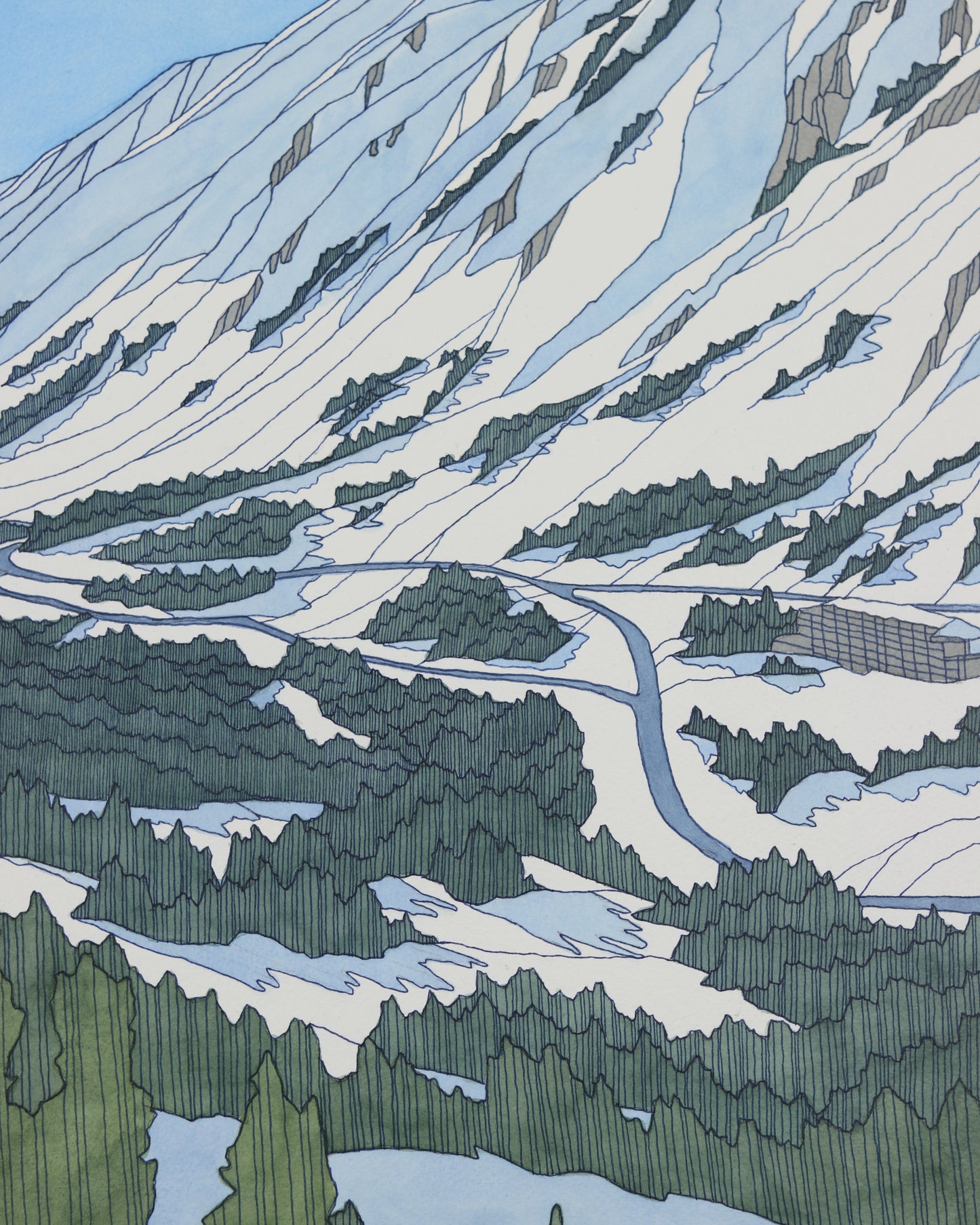 Winter Snowbird