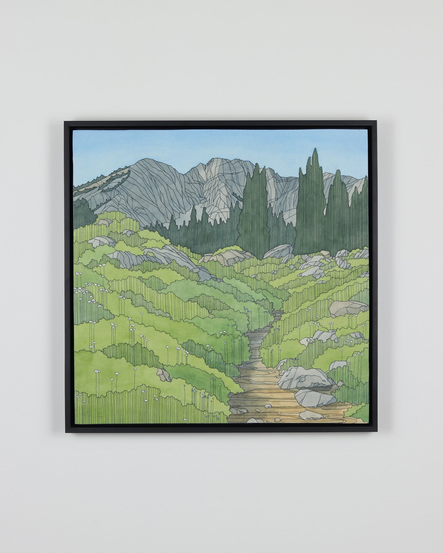 Timp Trail Summer