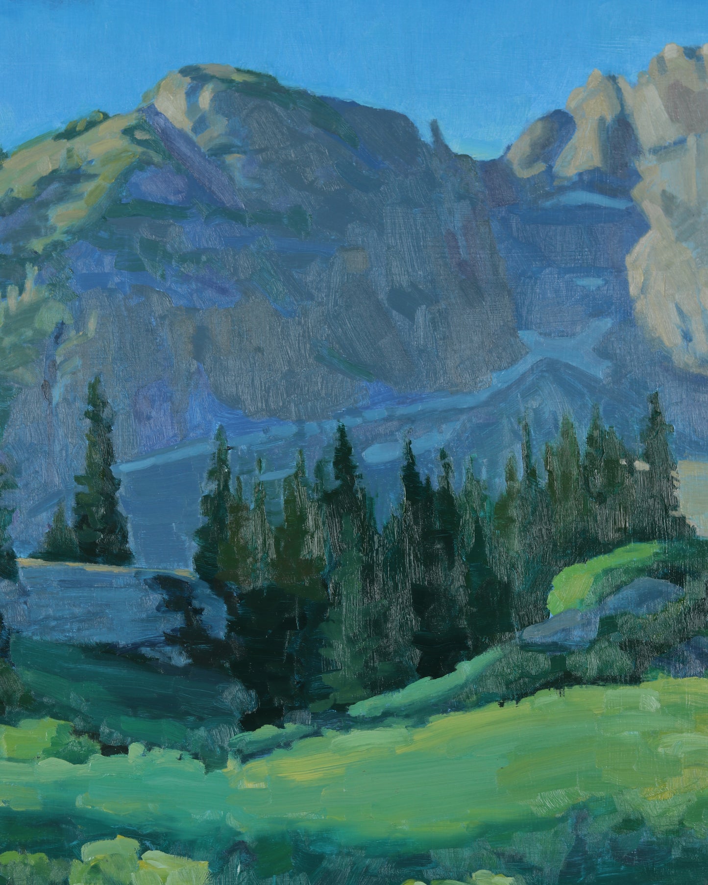 Albion Basin Summer