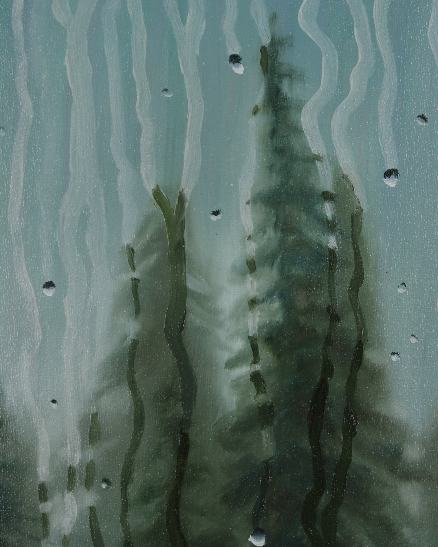Veiled Pines