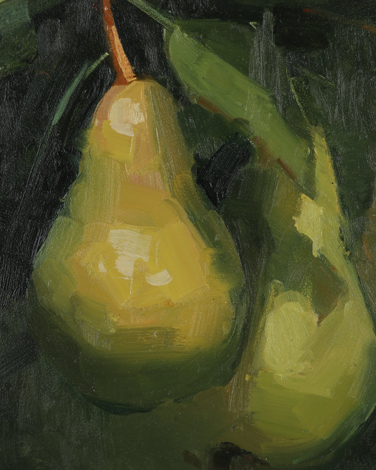 Pair of Pears