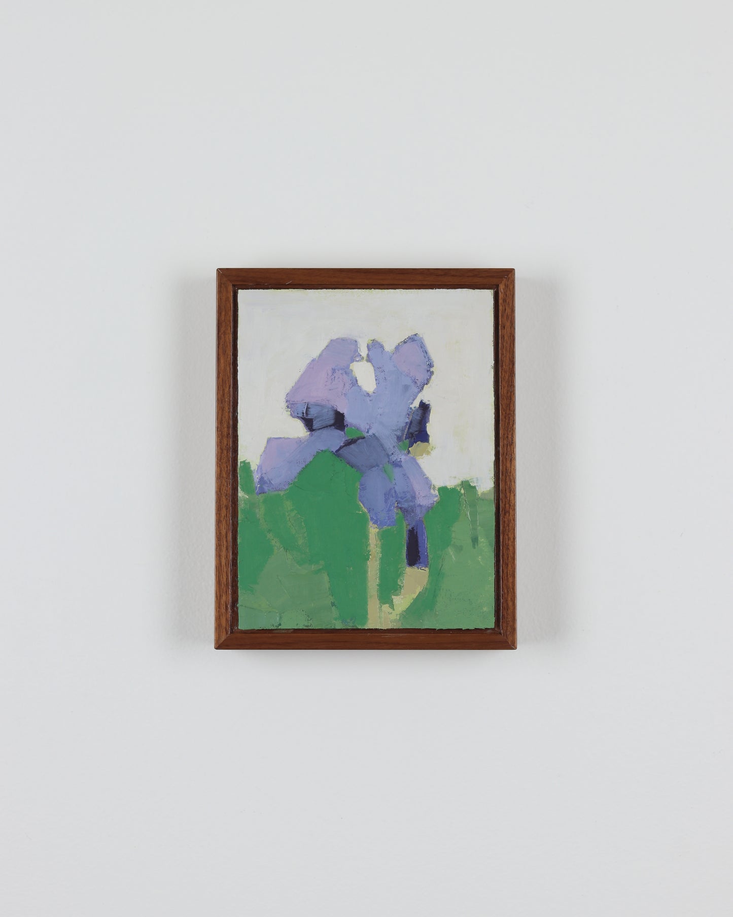 Purple Iris