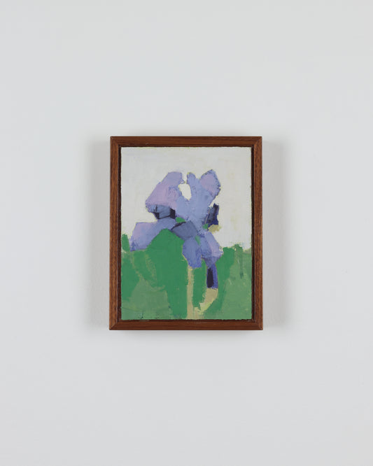 Purple Iris