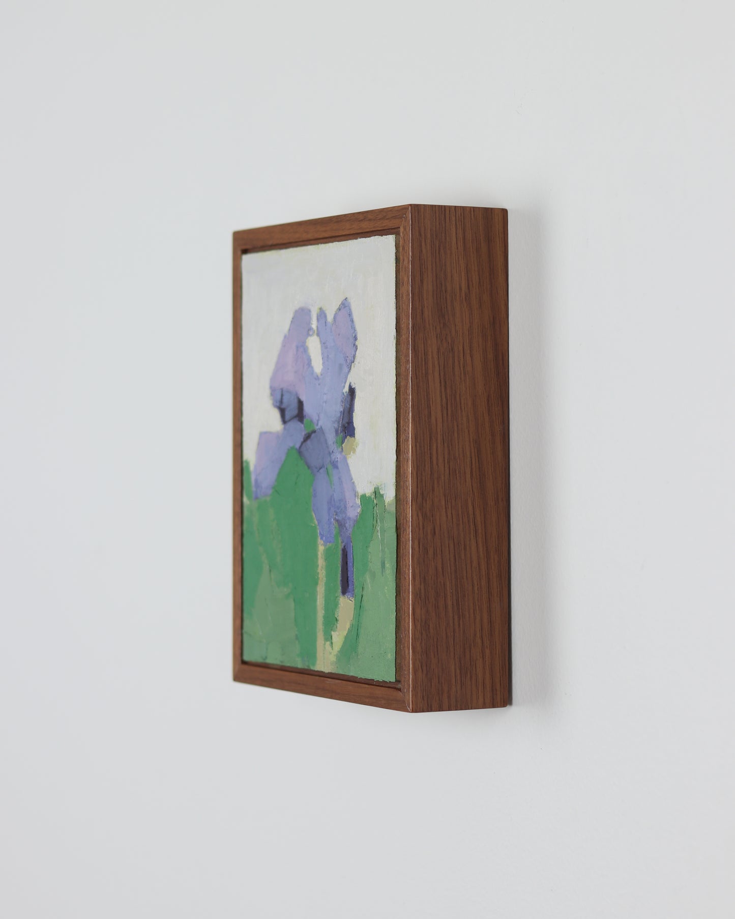 Purple Iris