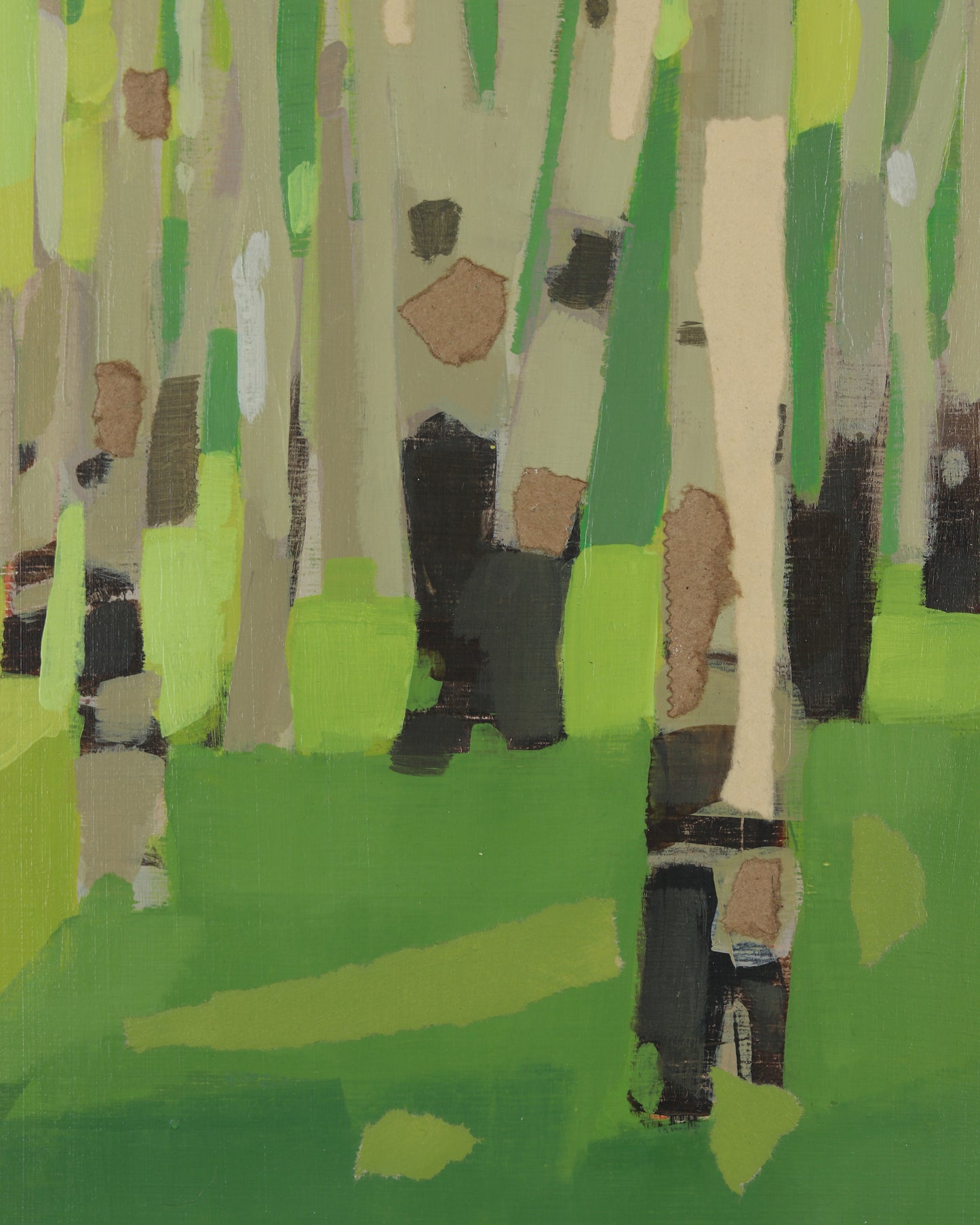 Aspen Forest