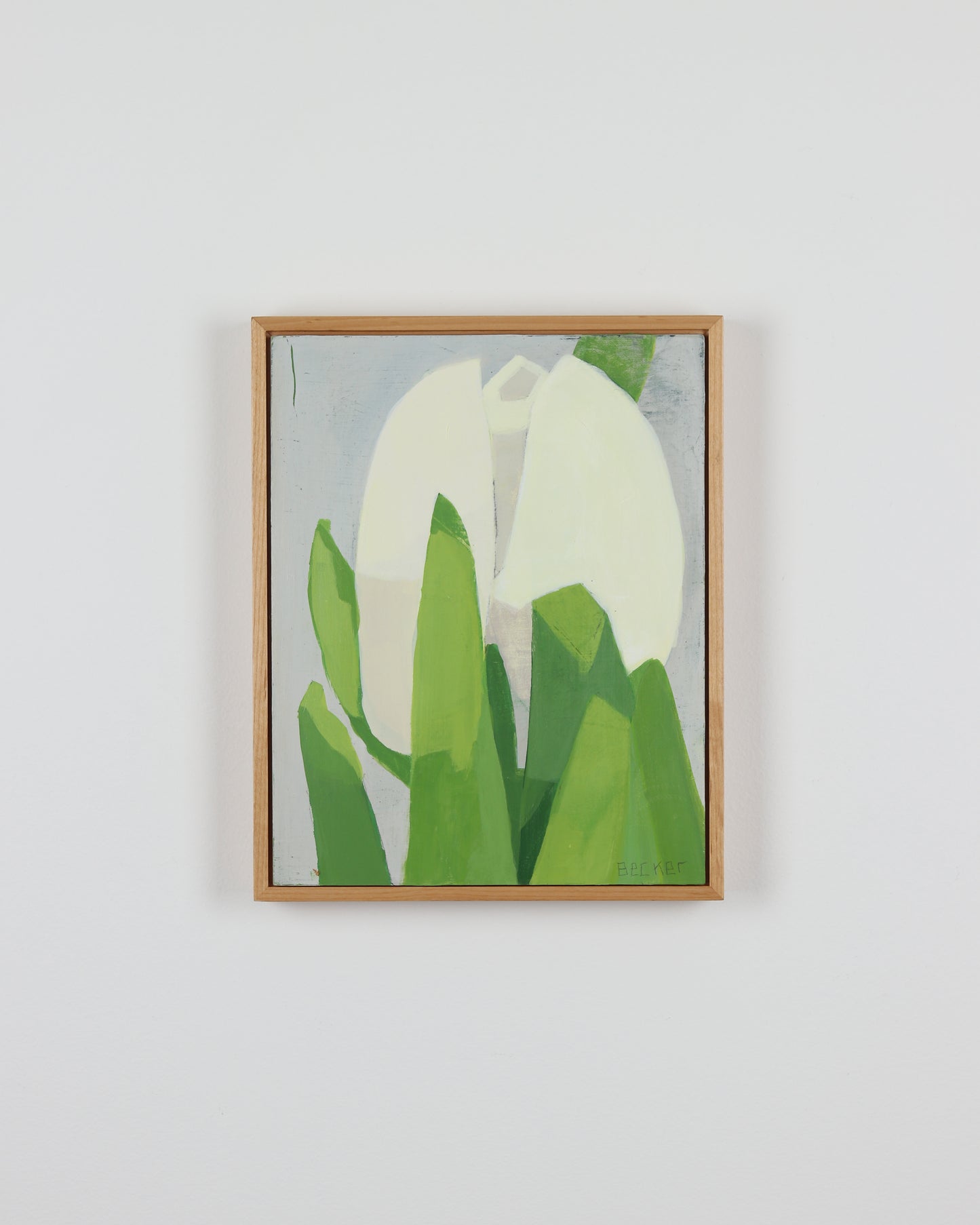 White Tulip