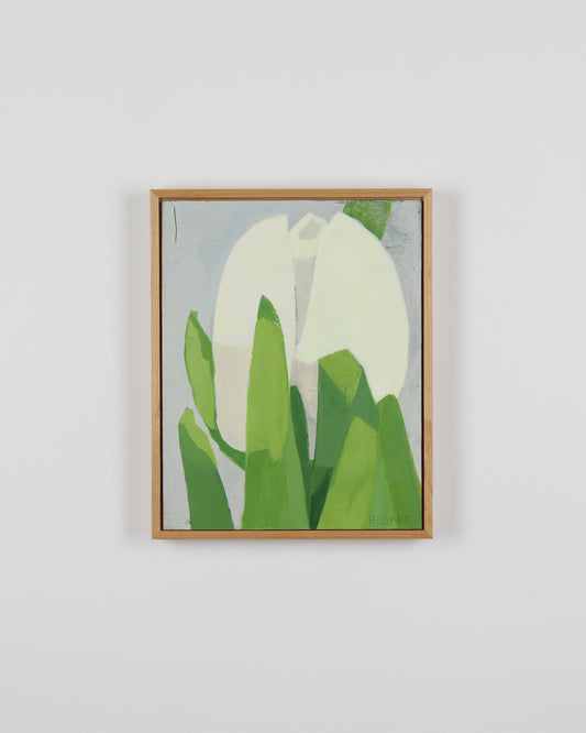White Tulip