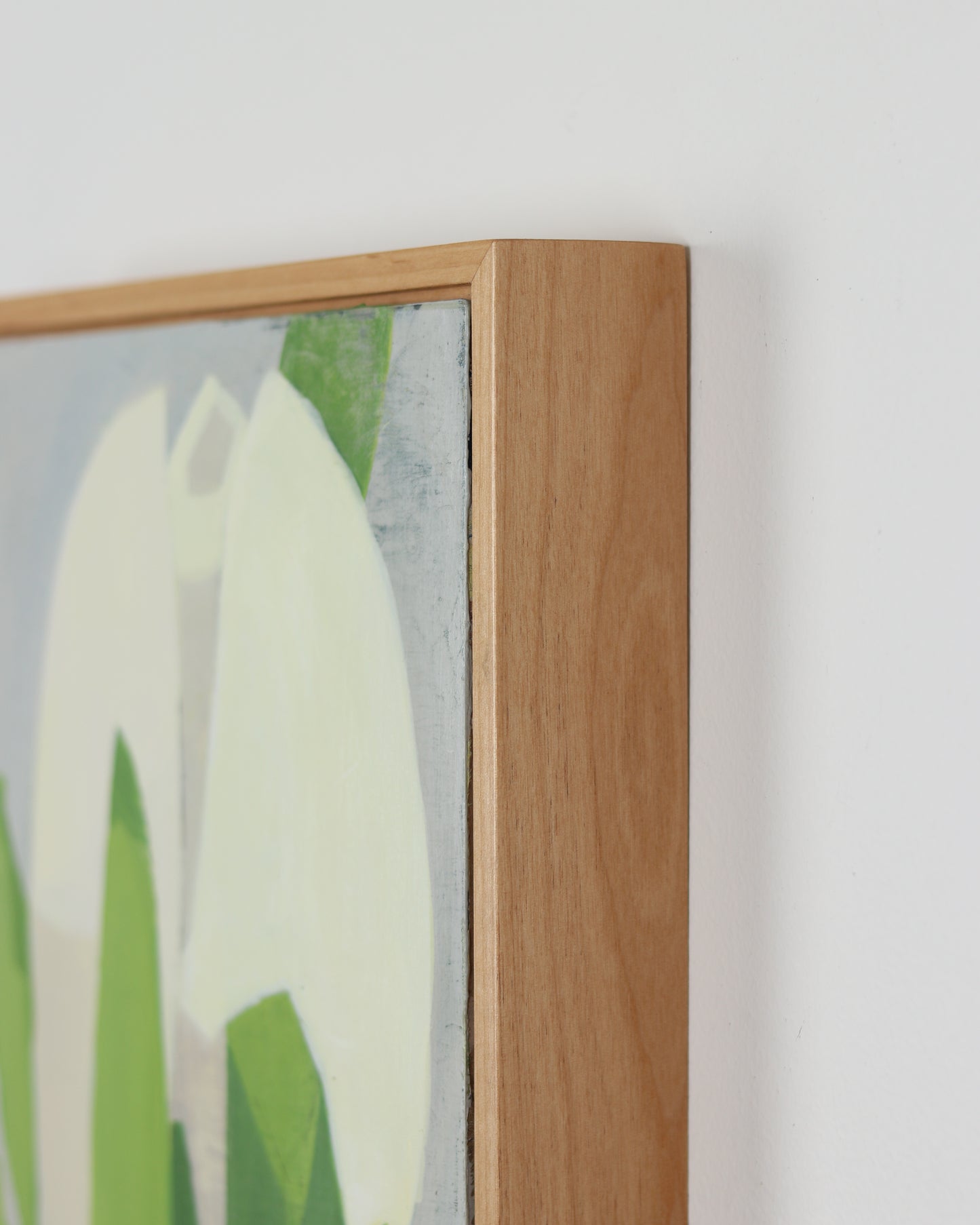 White Tulip