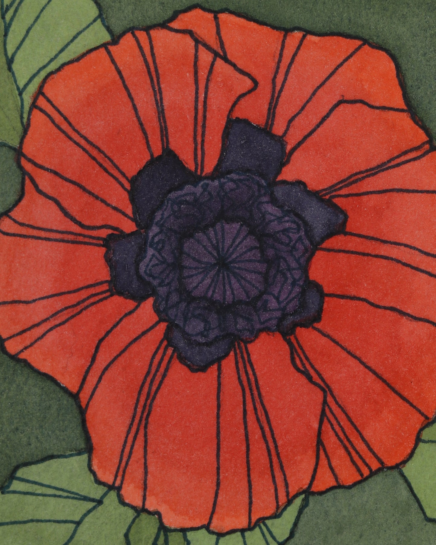 Mini Oriental Poppy II