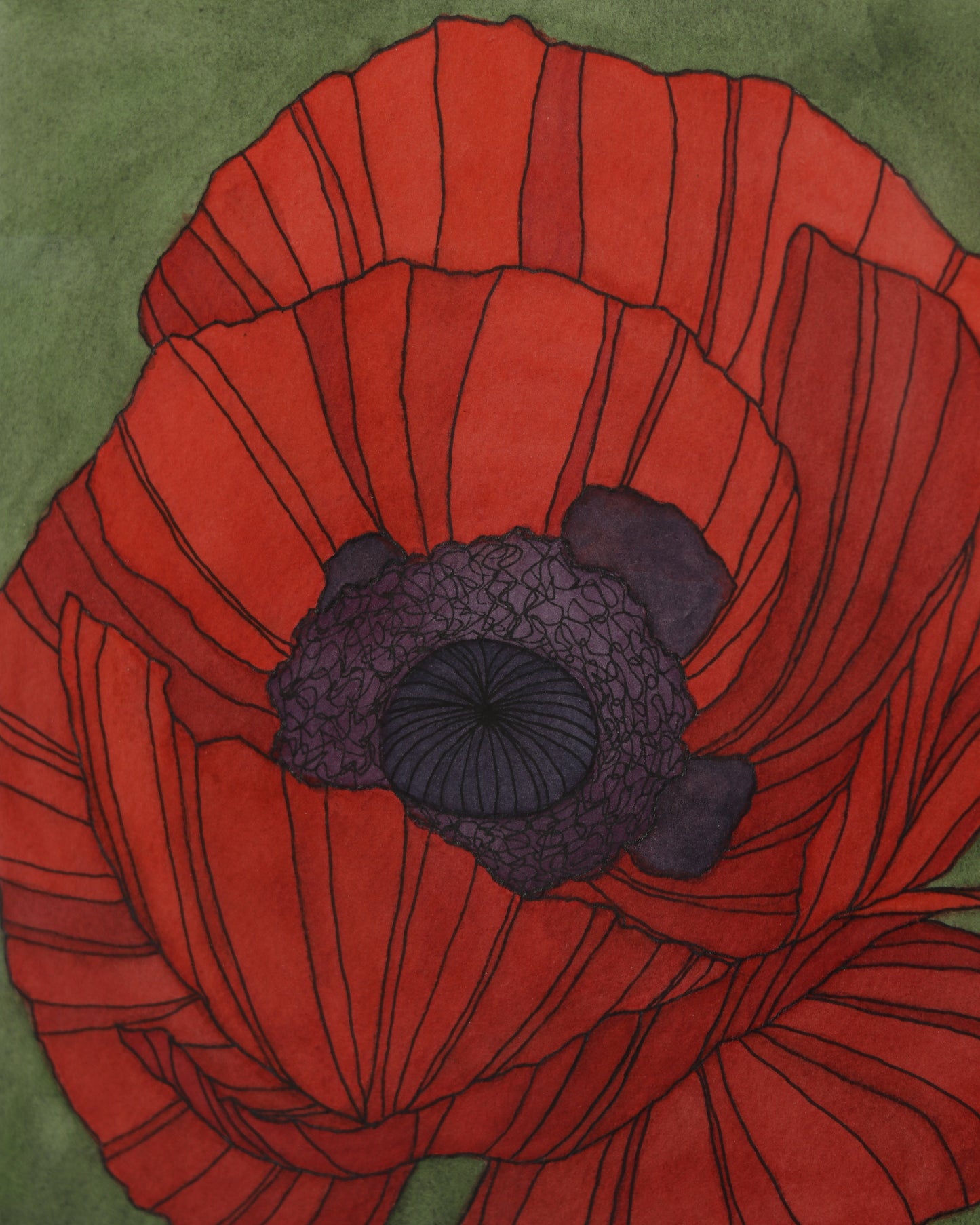 Poppy 6