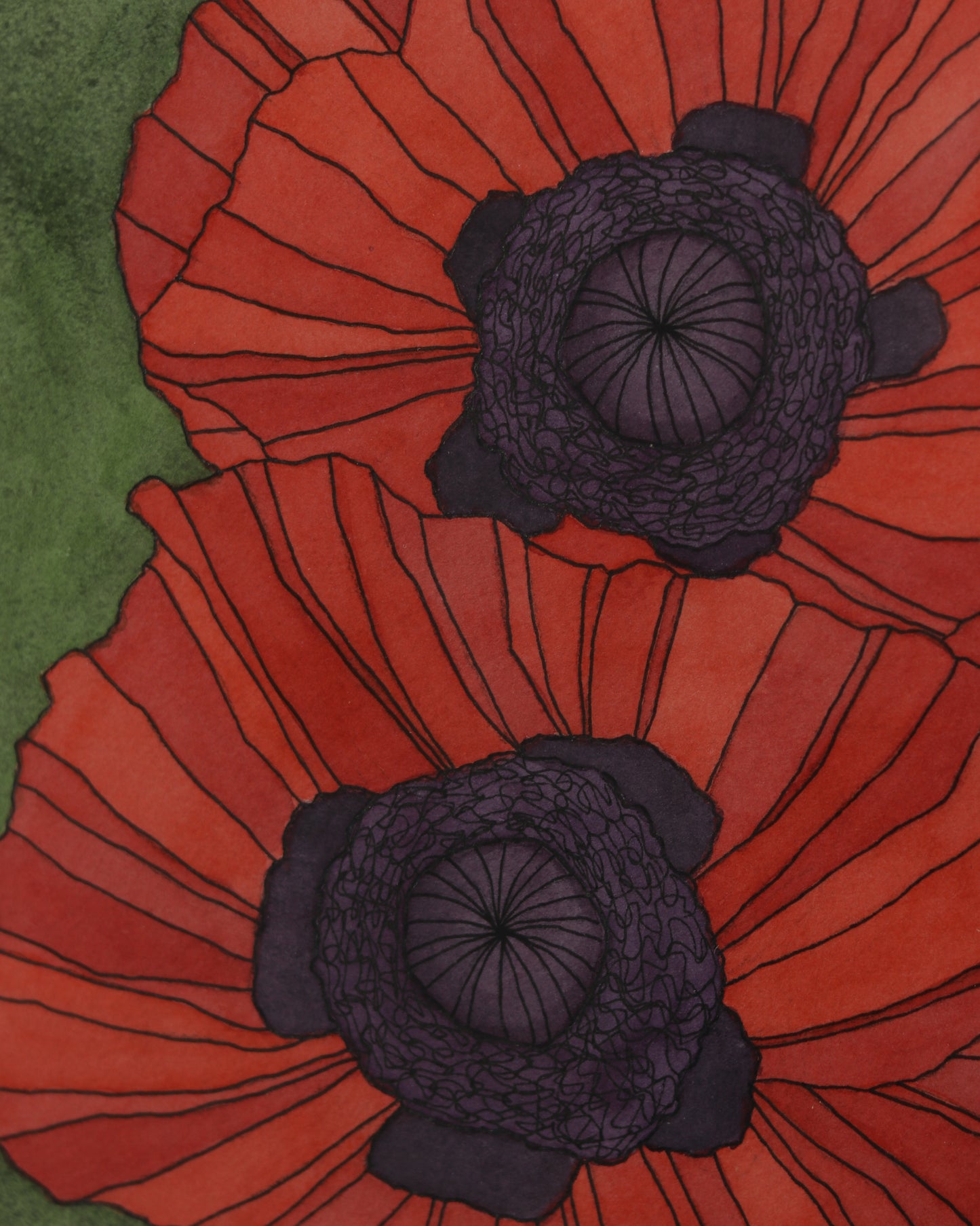 Poppy 7