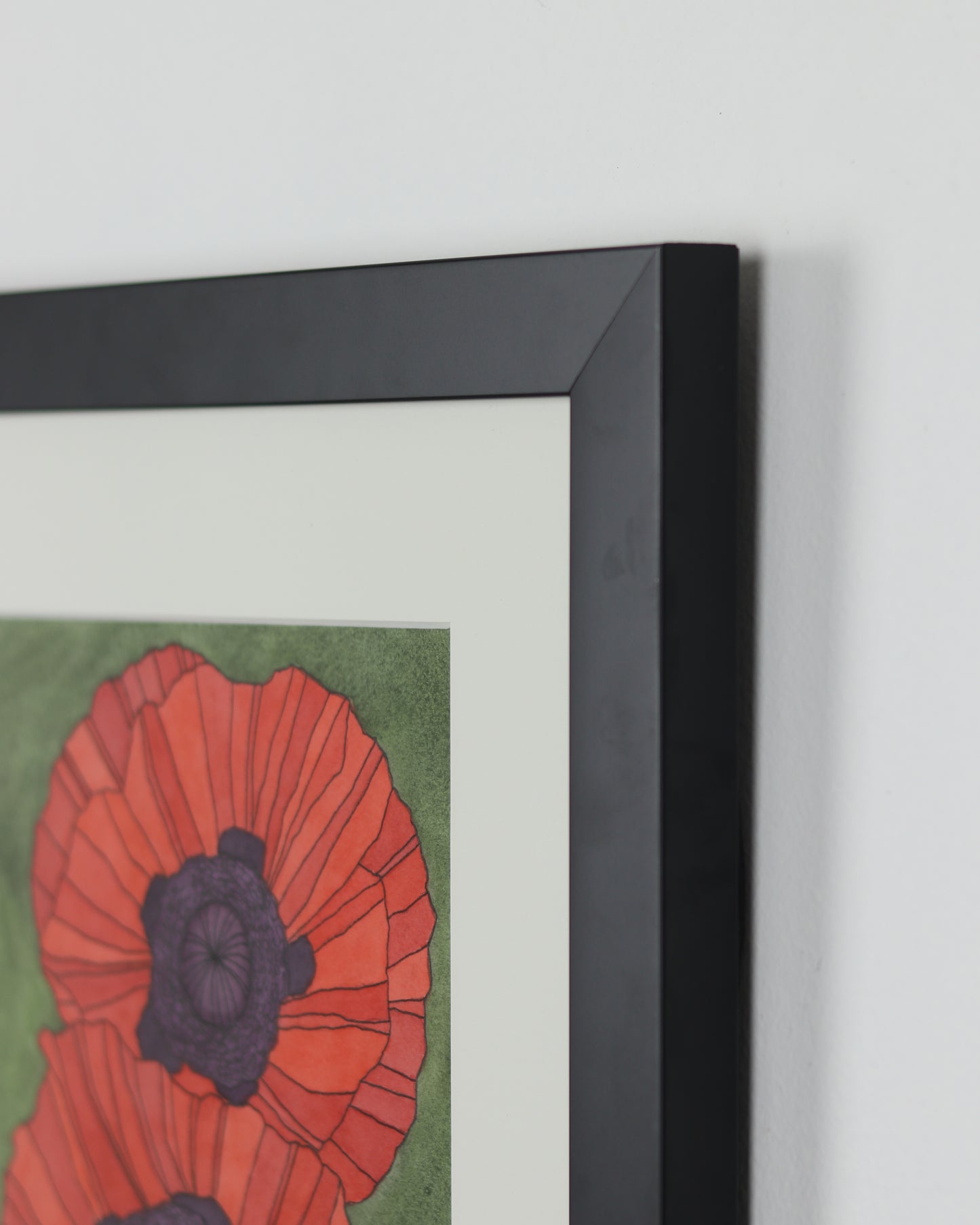 Poppy 7