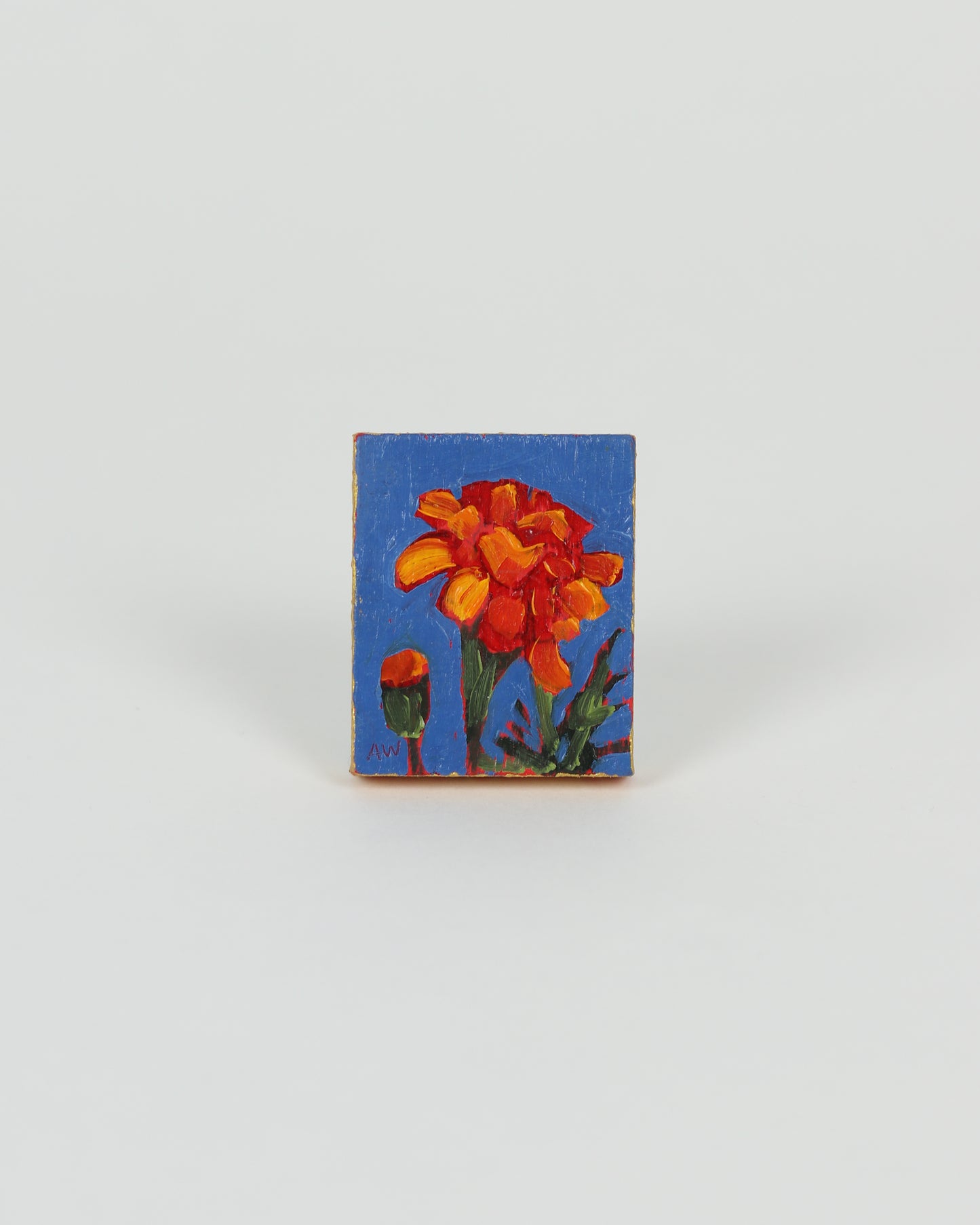 Tiny Blue Rectangle Zinnia