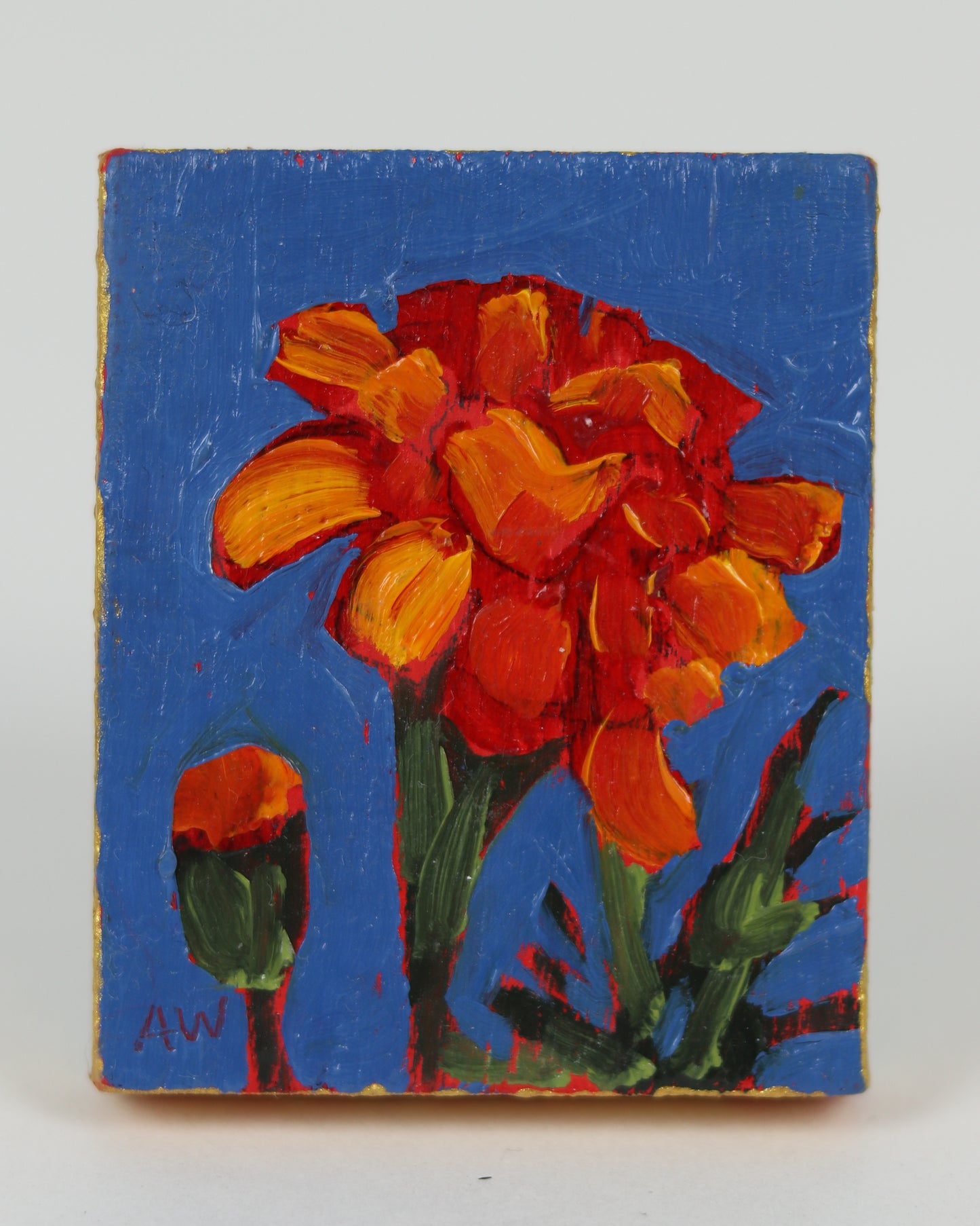 Tiny Blue Rectangle Zinnia