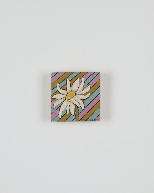 April Daisy