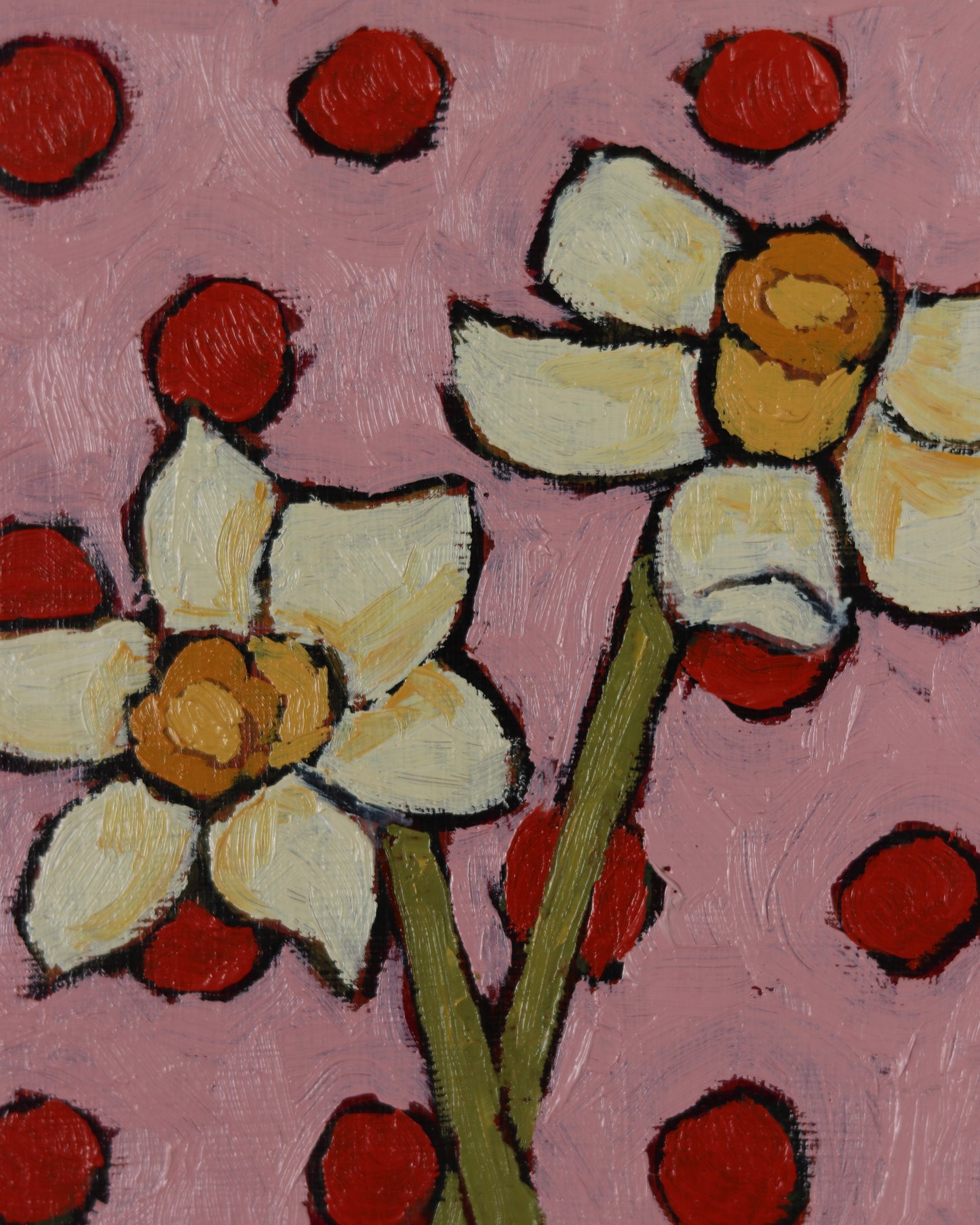December Narcissus