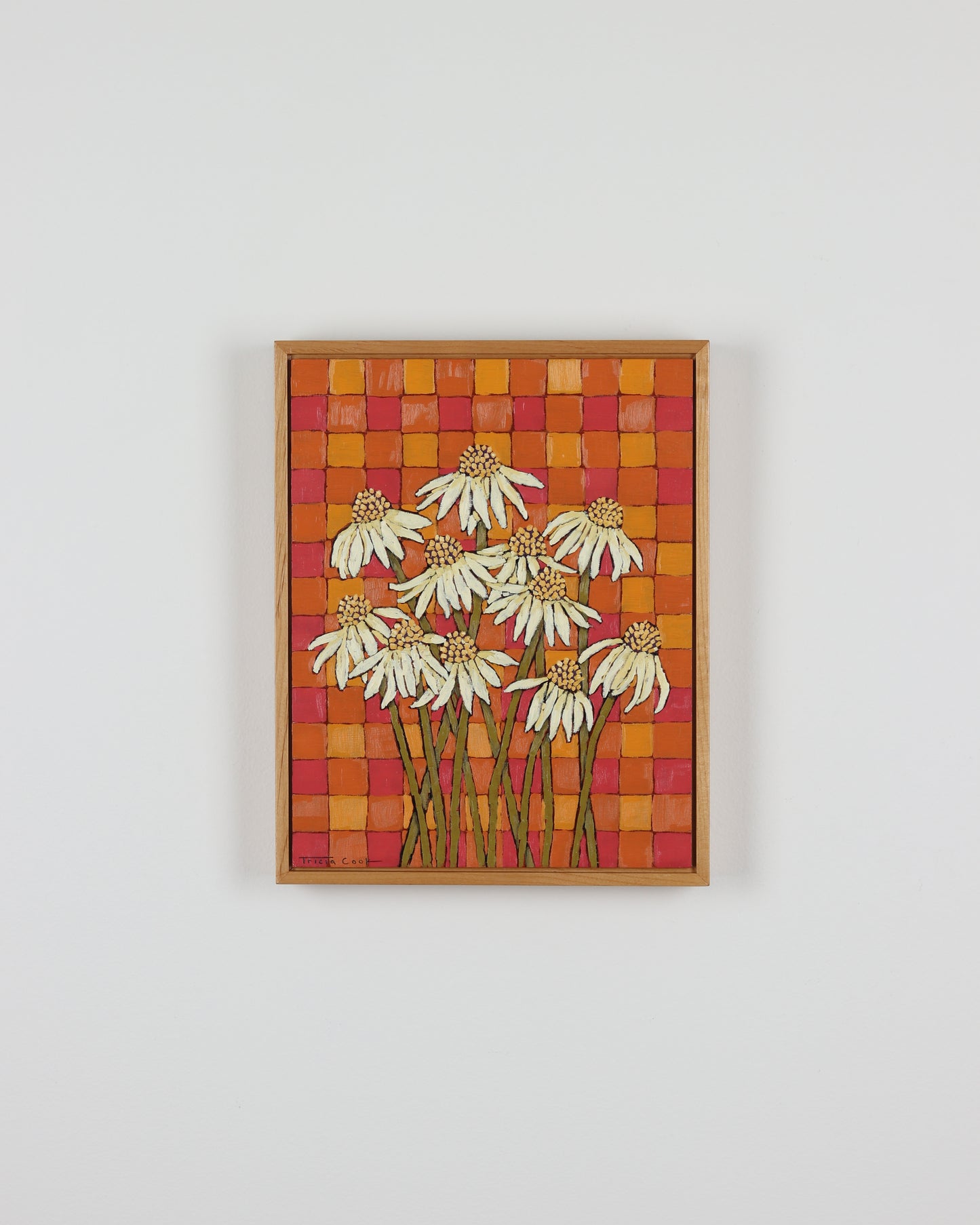 Cone Flowers in Summer