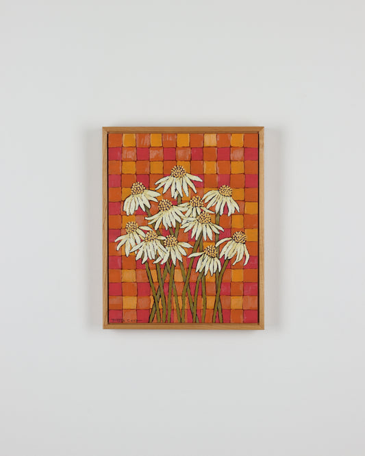 Cone Flowers in Summer