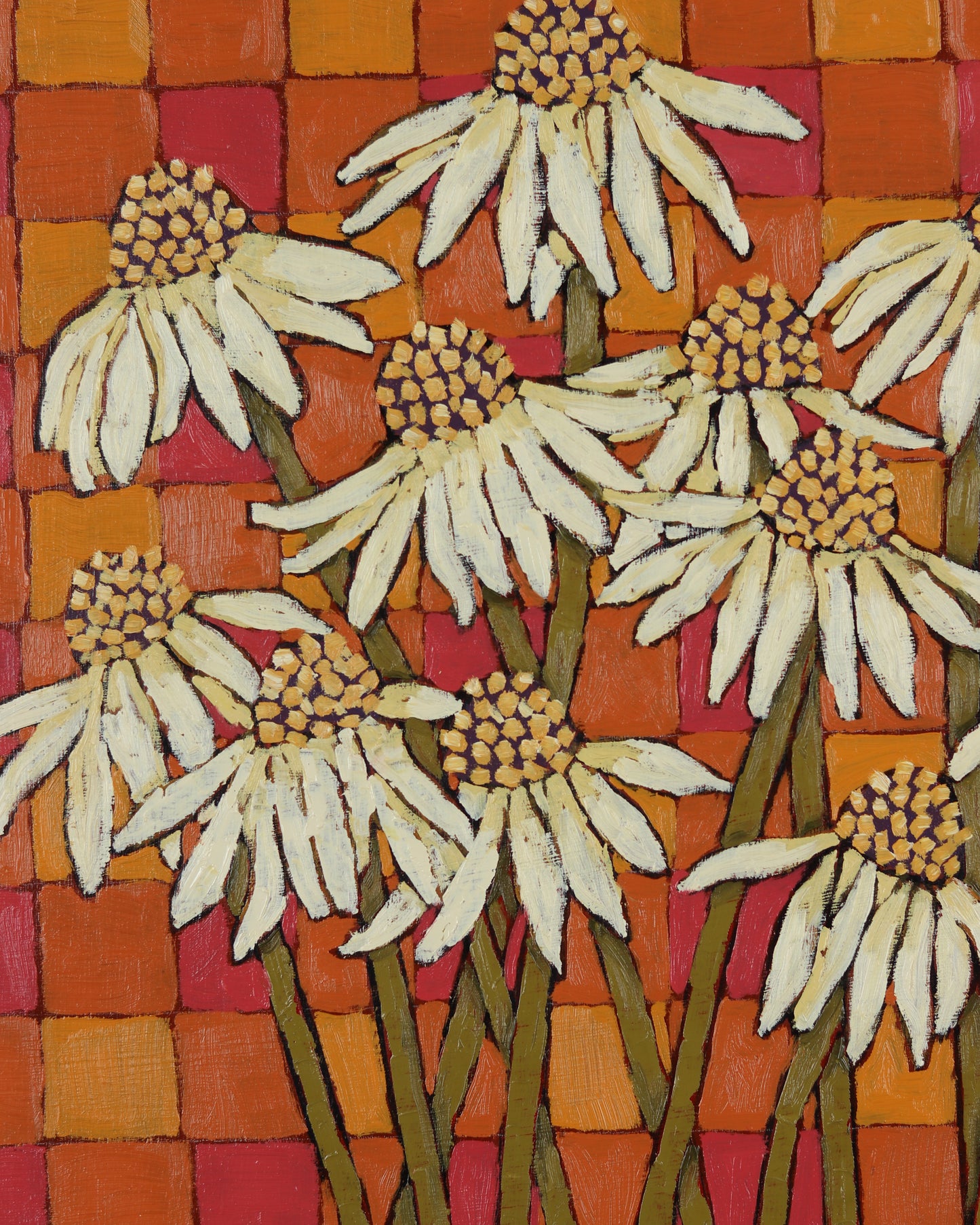 Cone Flowers in Summer