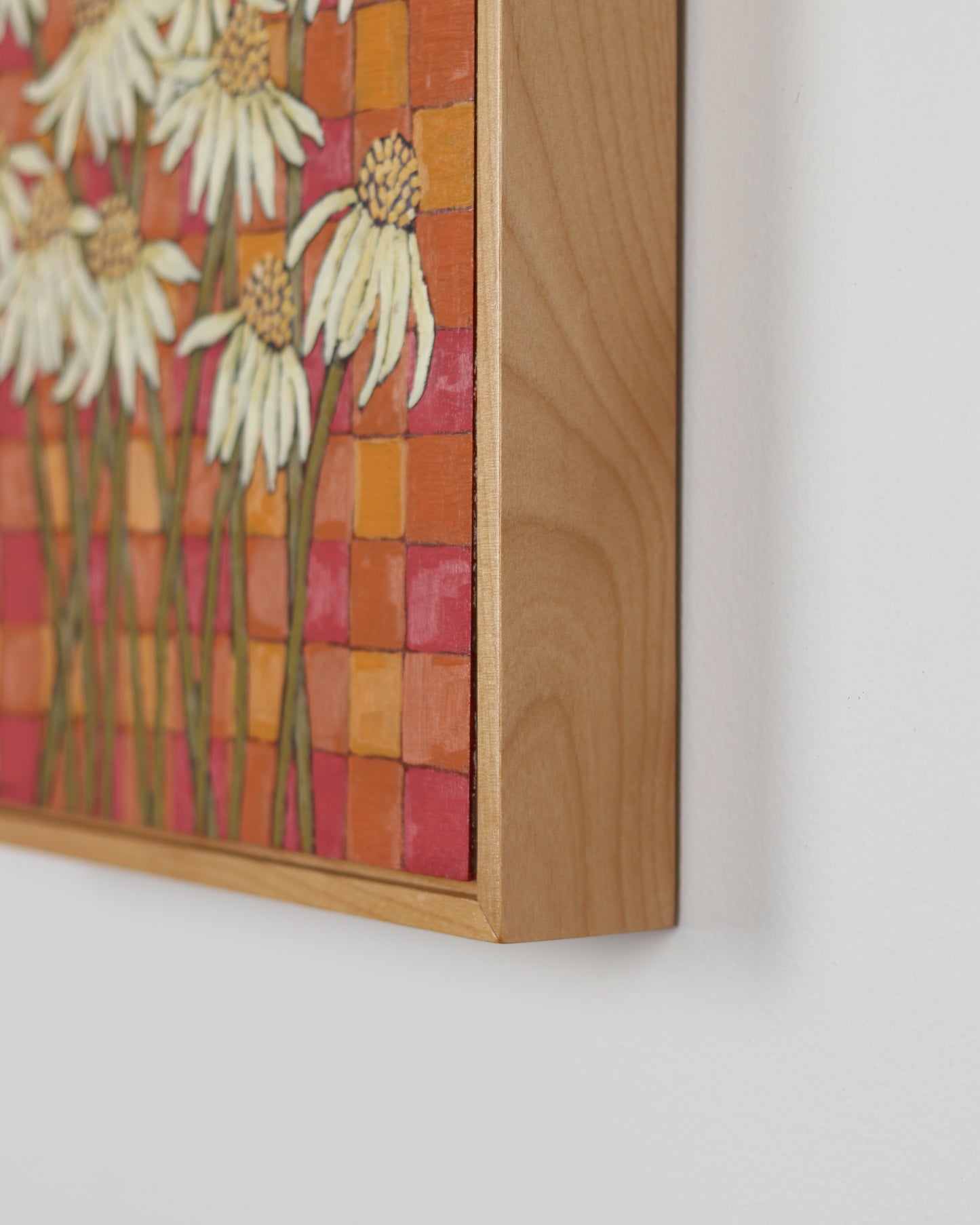Cone Flowers in Summer