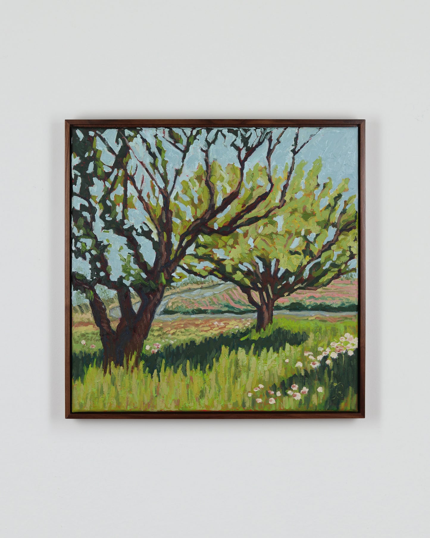 The Orchard