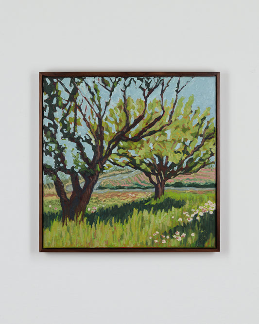 The Orchard