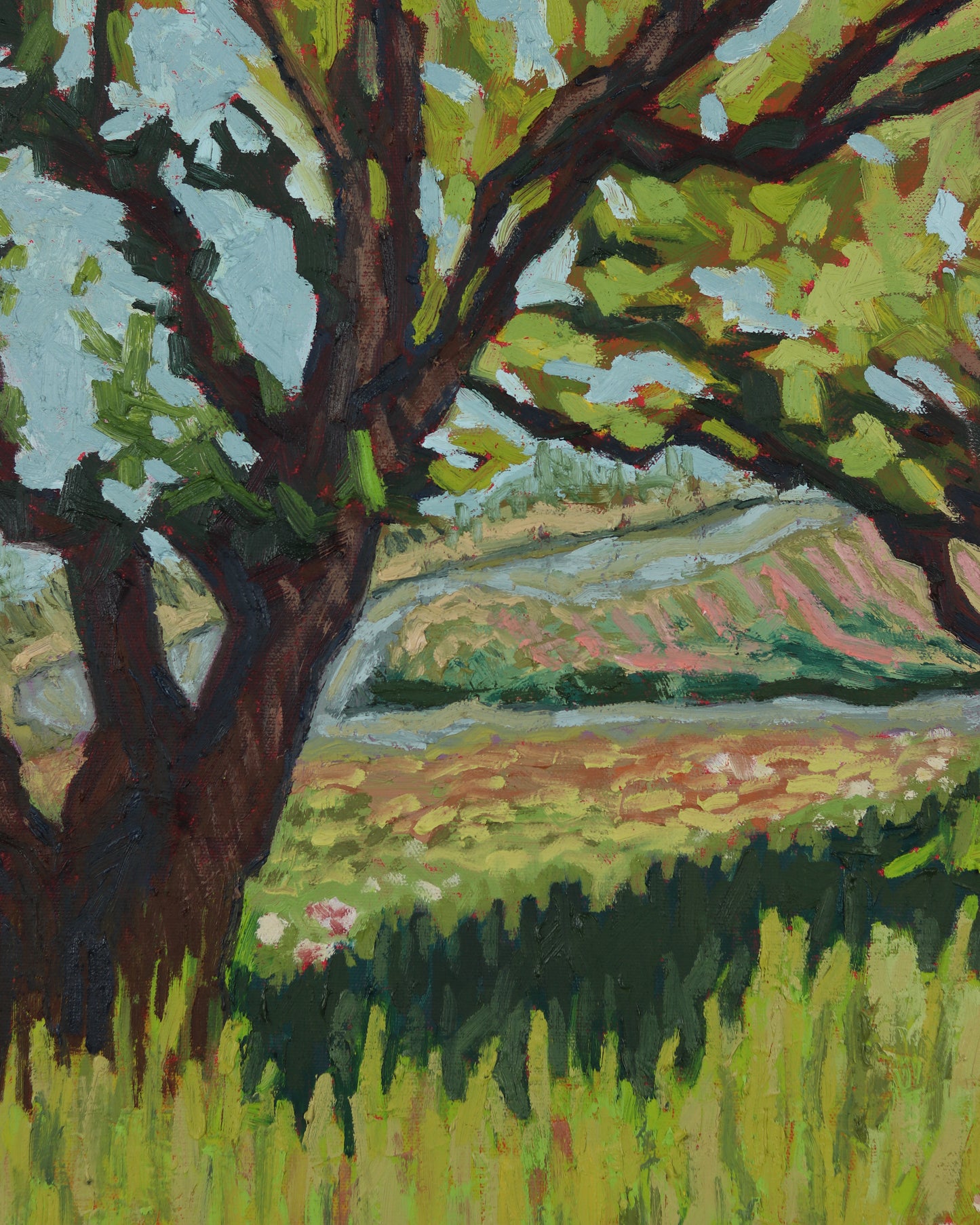 The Orchard