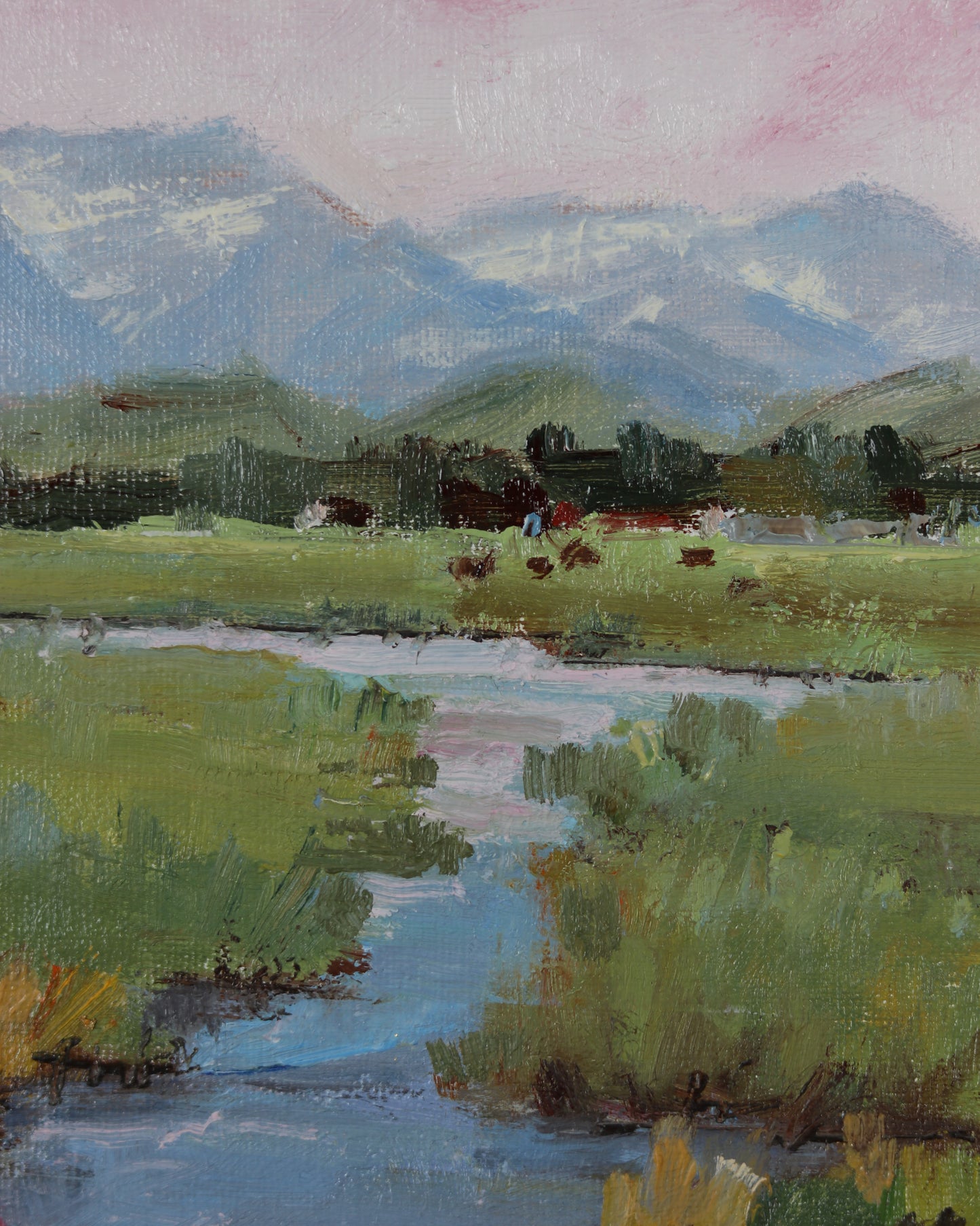 Timpanogos
