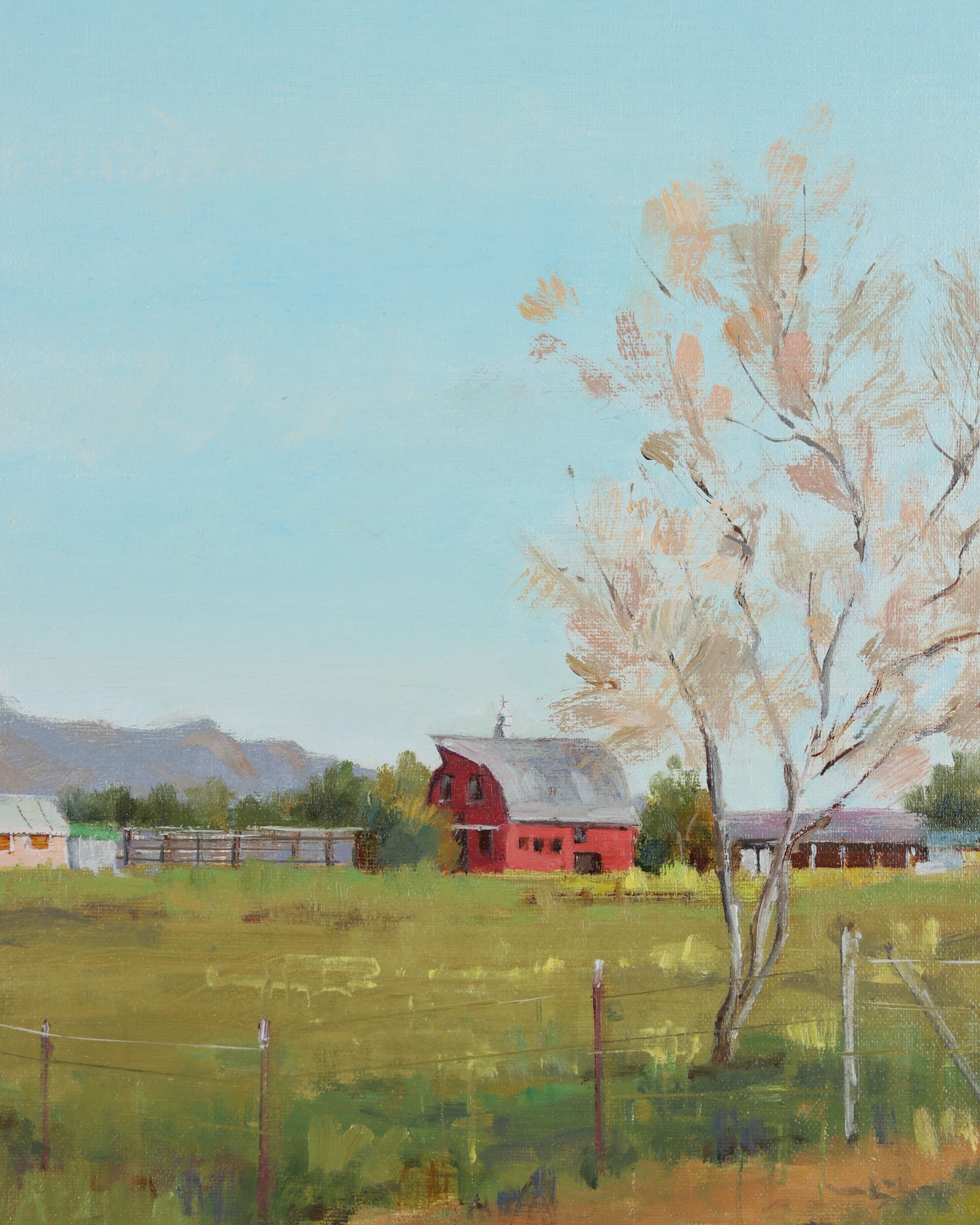 Almost Paradise