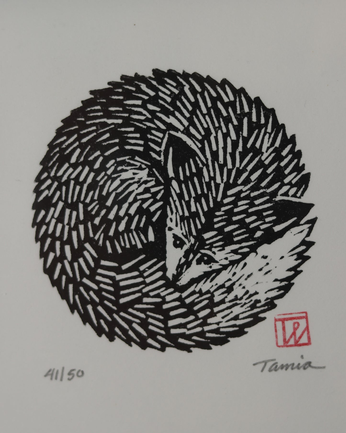 Fox