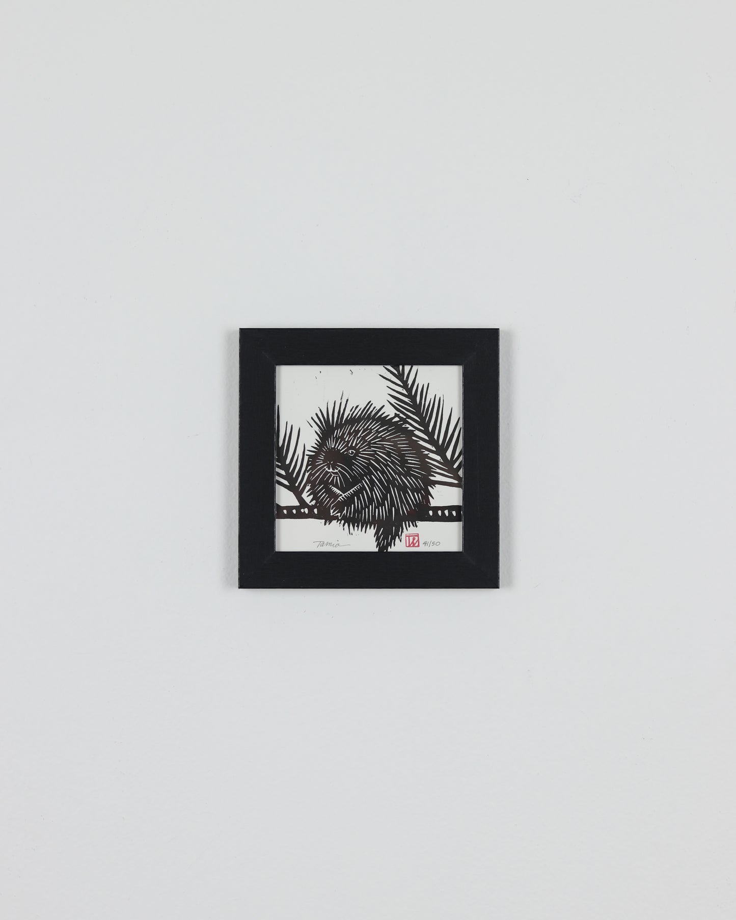 Porcipine