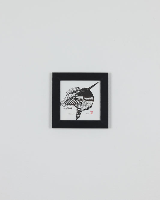 Hummingbird 2