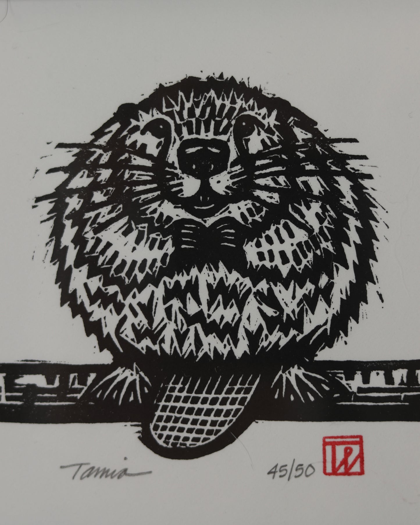 Beaver