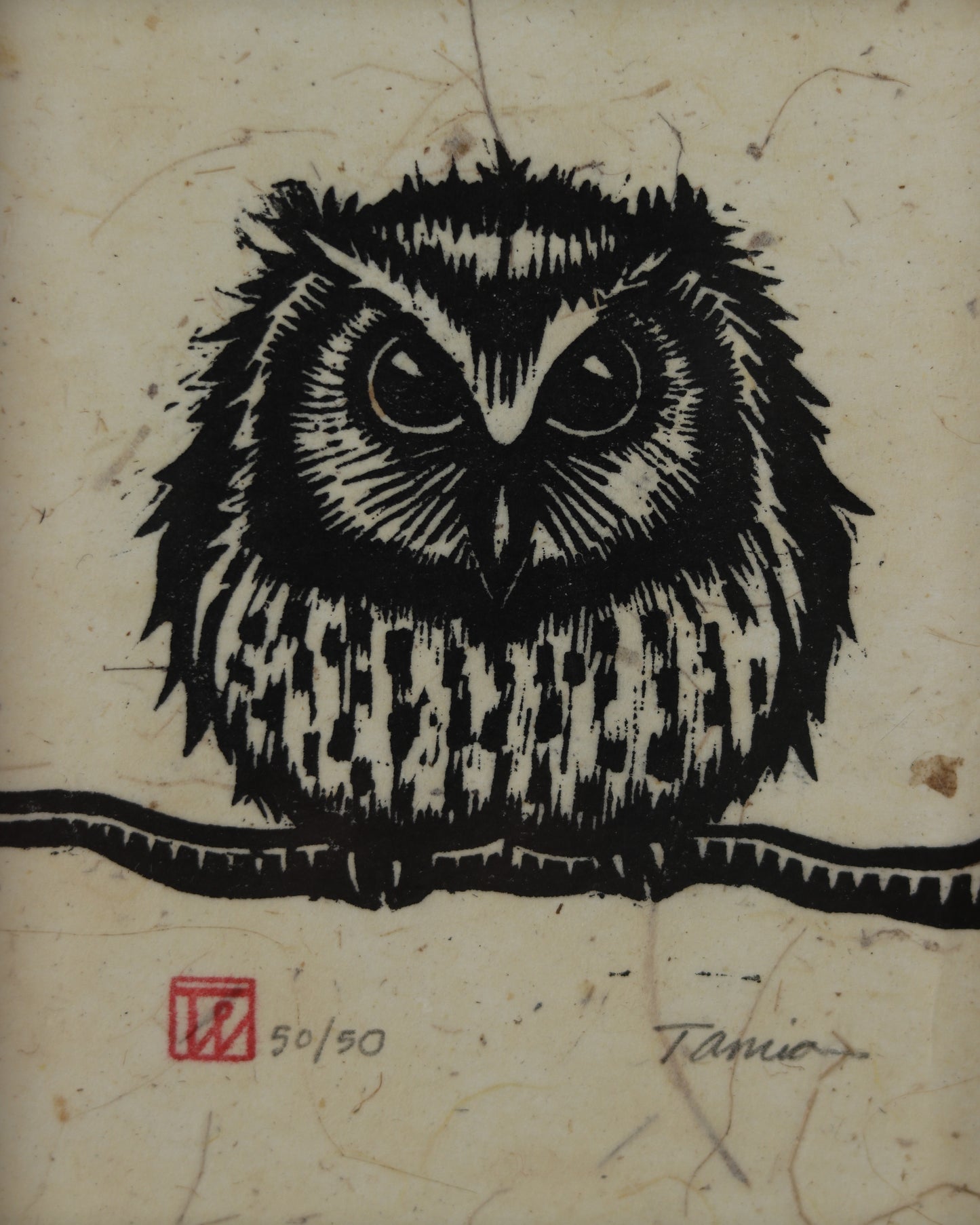 Owl 2