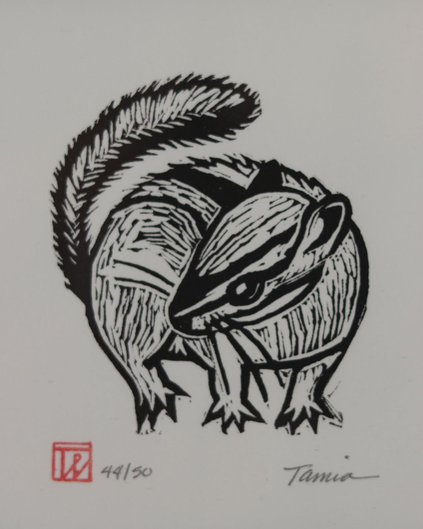Chipmunk