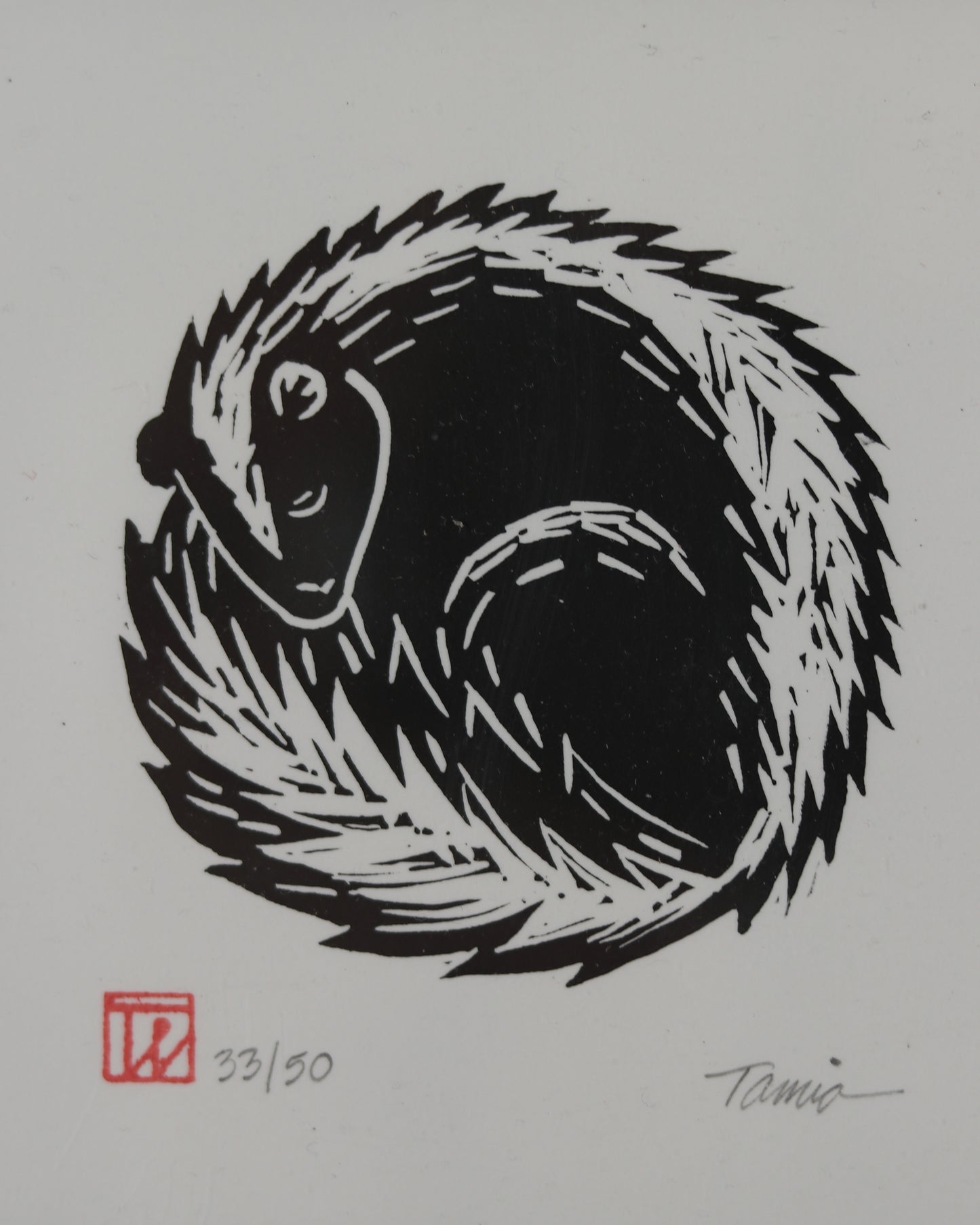 Skunk