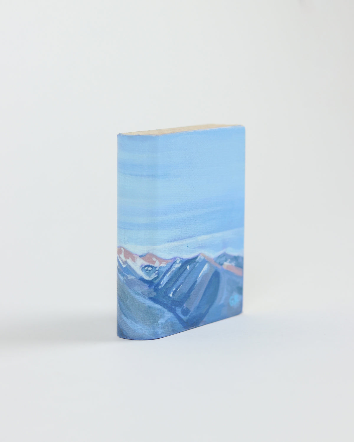 Mini Book 20