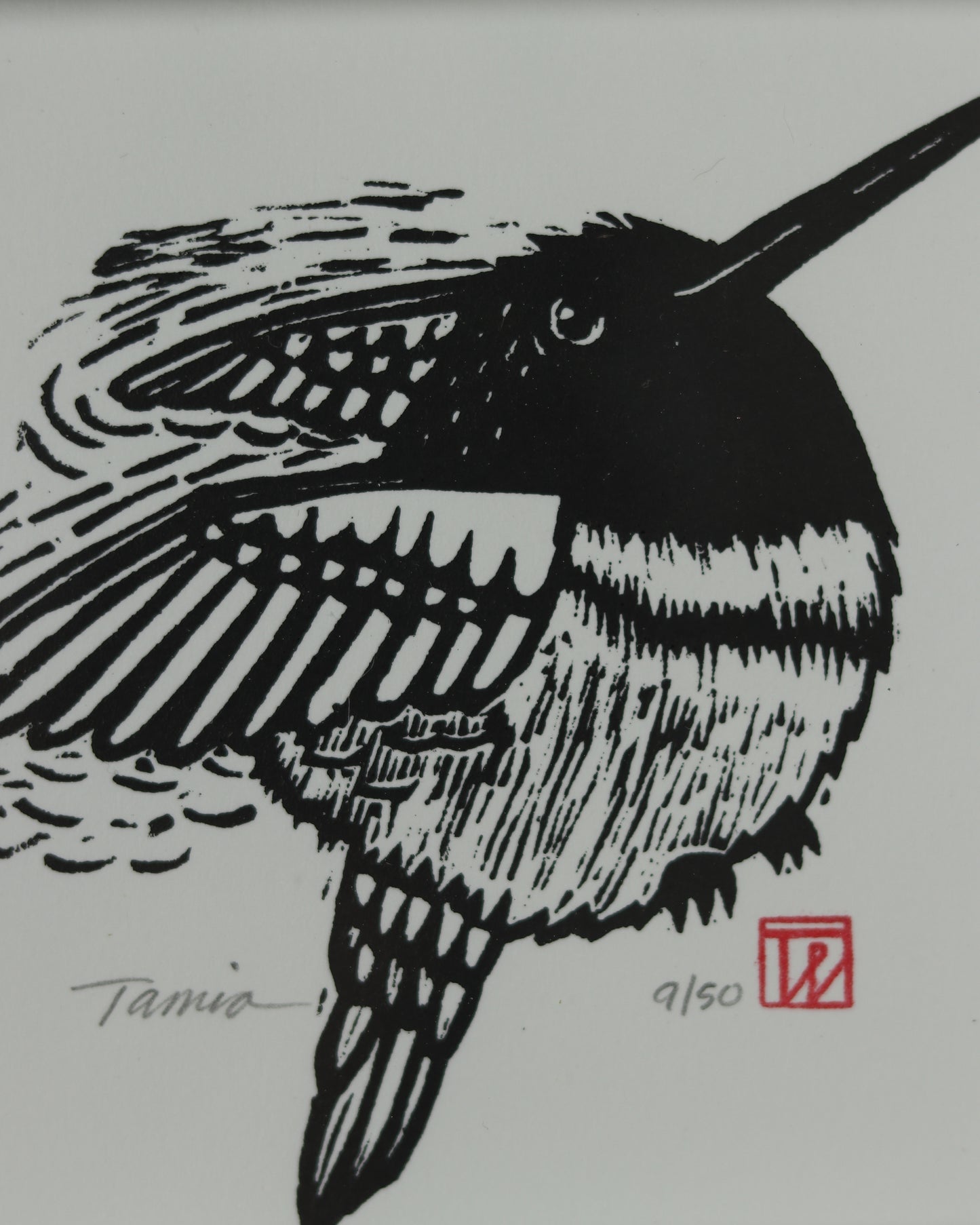 Hummingbird 4