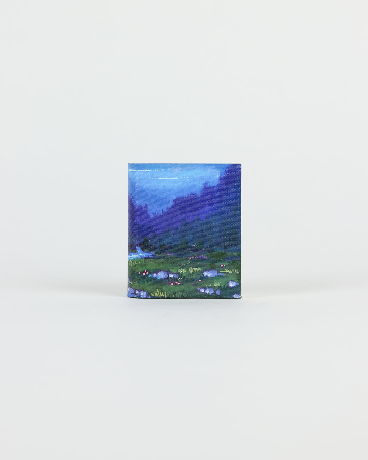 Mini Book 19