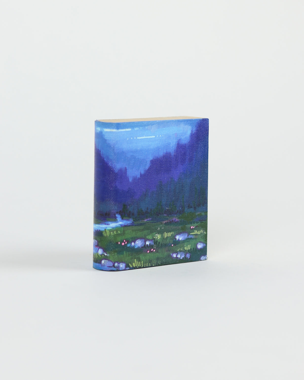 Mini Book 19