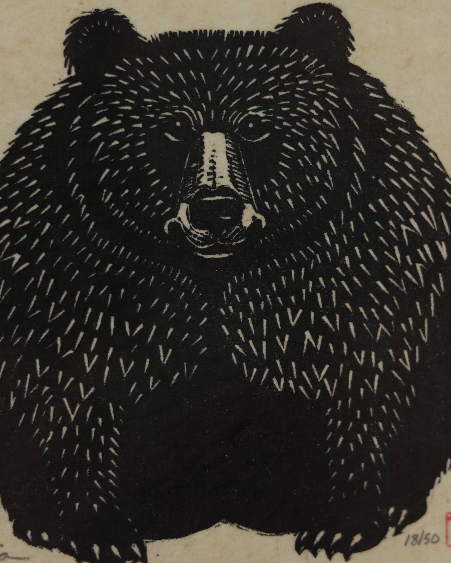 Bear 2
